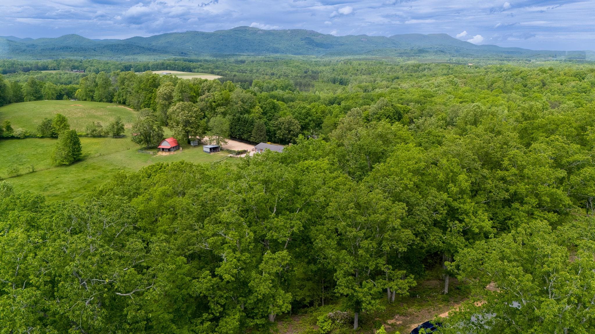 1130 Packs Mountain Ridge Road, Taylors, South Carolina image 20