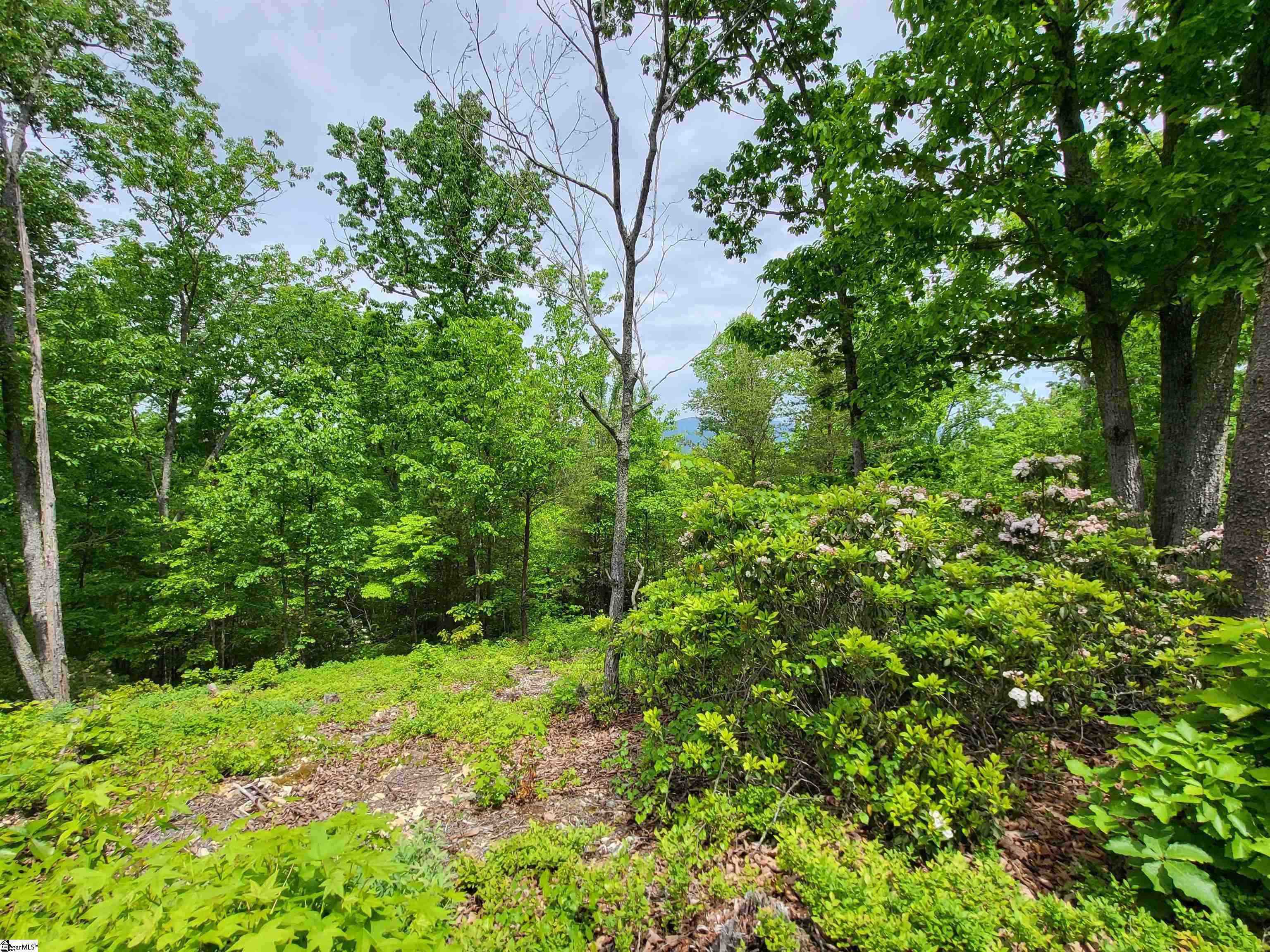 1130 Packs Mountain Ridge Road, Taylors, South Carolina image 13