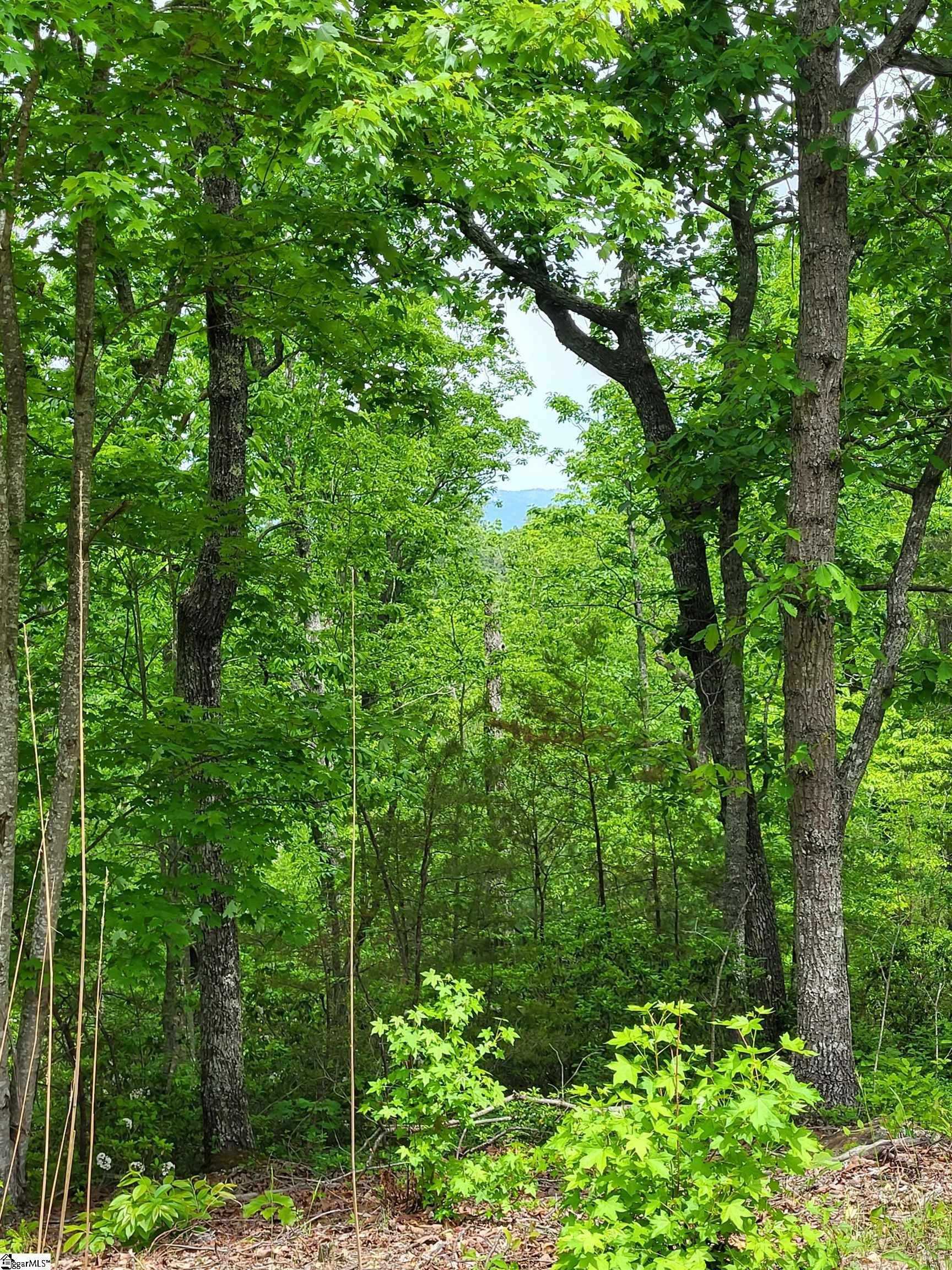 1130 Packs Mountain Ridge Road, Taylors, South Carolina image 15