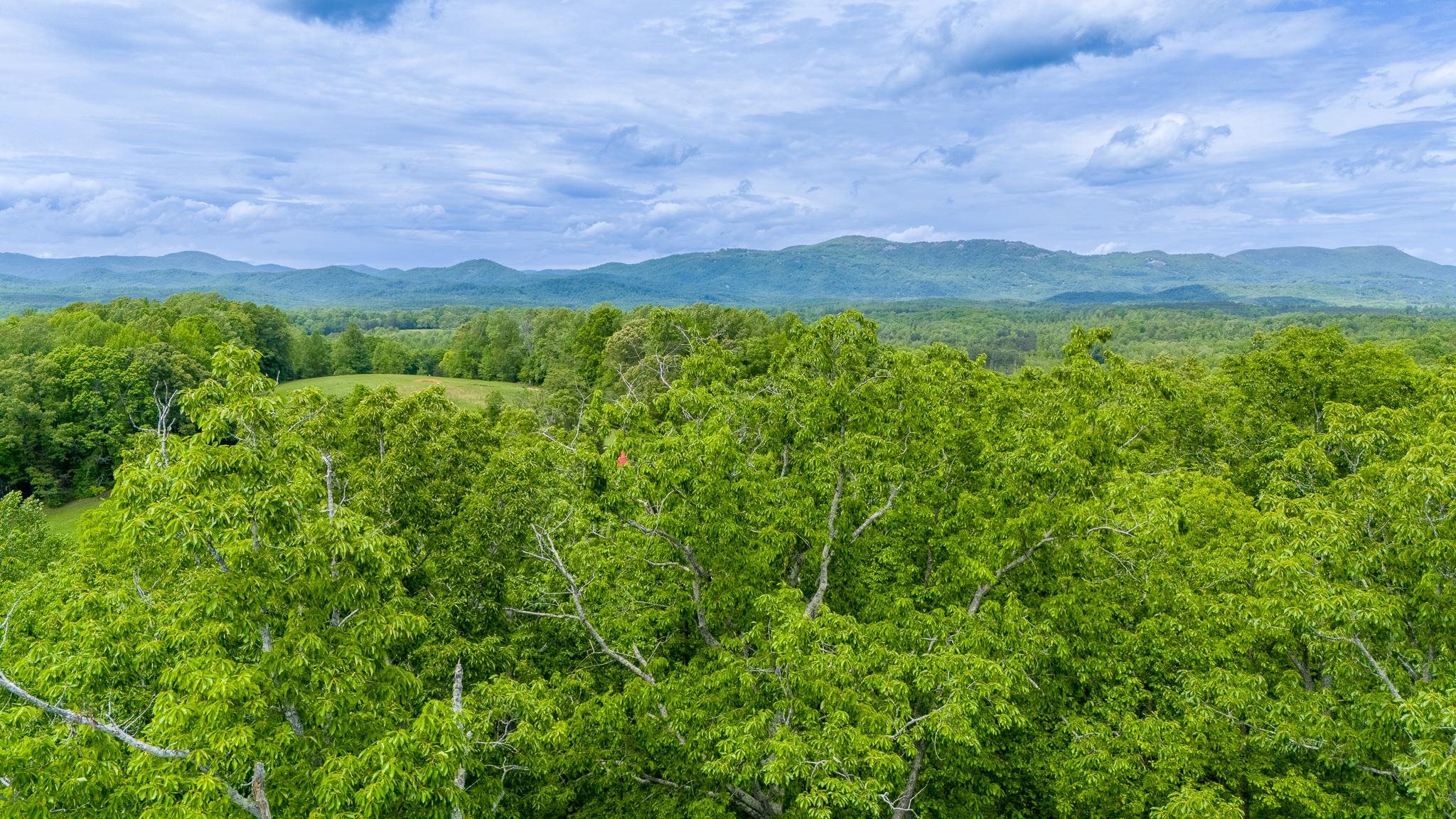 1130 Packs Mountain Ridge Road, Taylors, South Carolina image 21