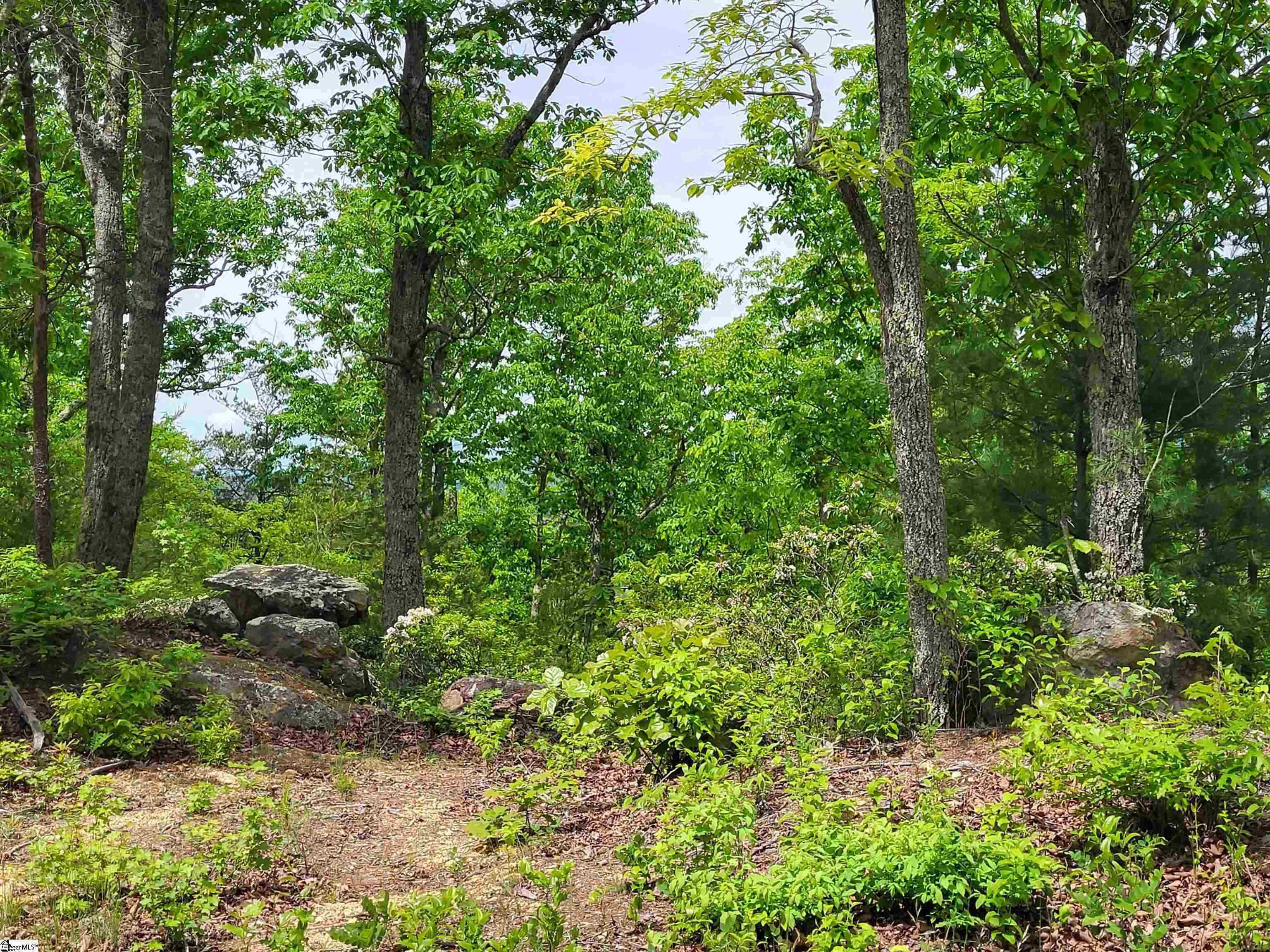 1130 Packs Mountain Ridge Road, Taylors, South Carolina image 10
