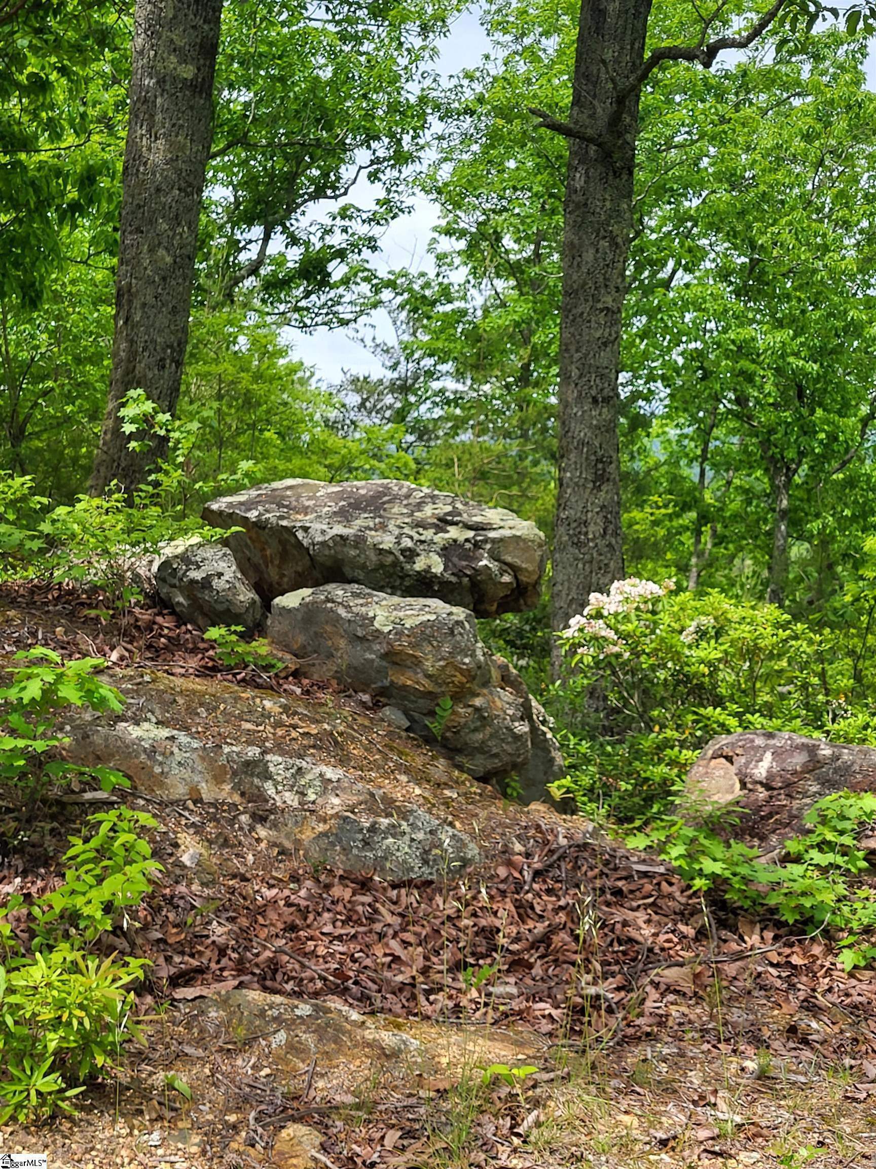 1130 Packs Mountain Ridge Road, Taylors, South Carolina image 7