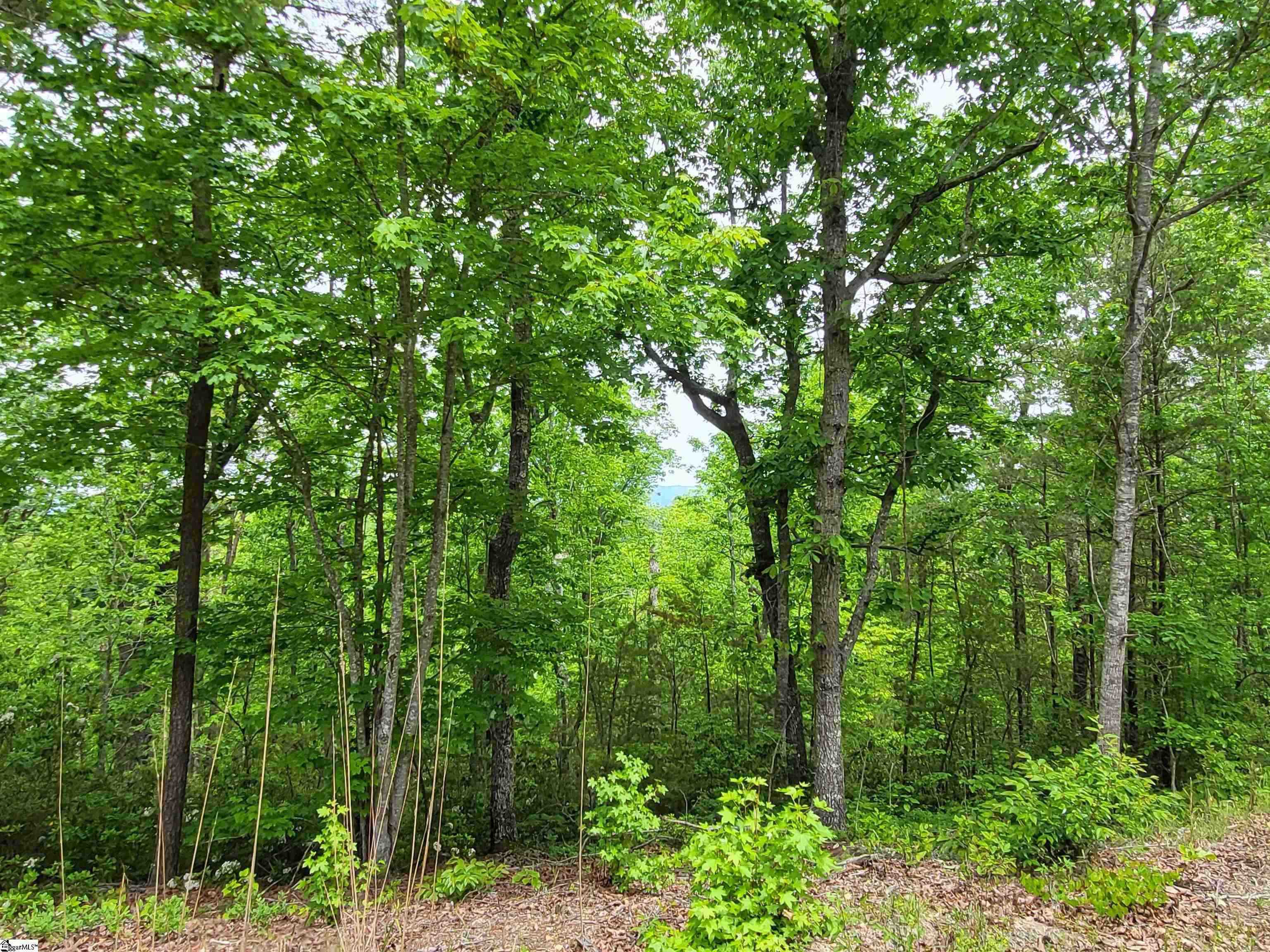 1130 Packs Mountain Ridge Road, Taylors, South Carolina image 1