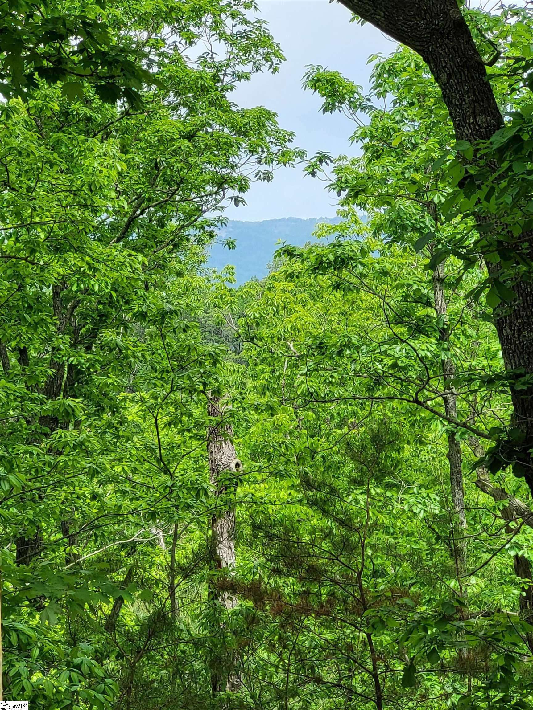 1130 Packs Mountain Ridge Road, Taylors, South Carolina image 3