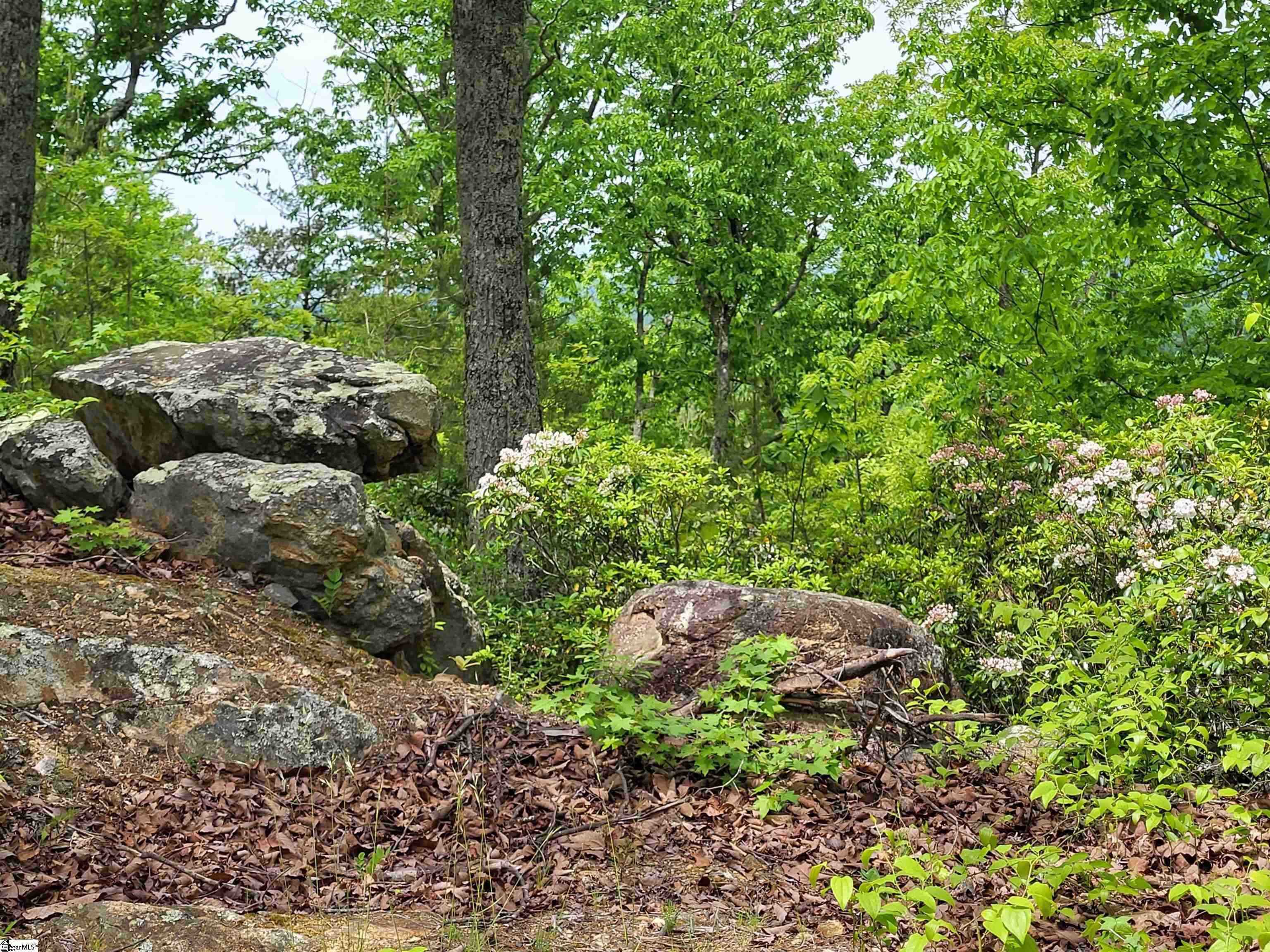 1130 Packs Mountain Ridge Road, Taylors, South Carolina image 6