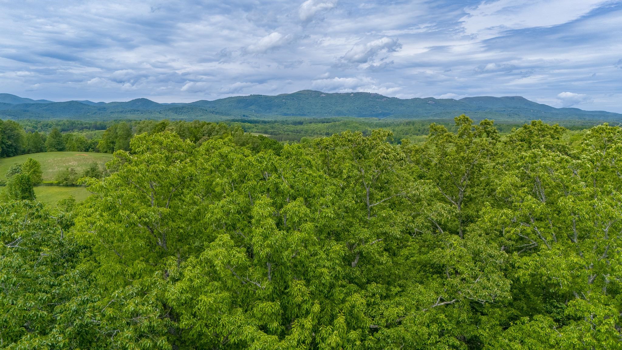 1130 Packs Mountain Ridge Road, Taylors, South Carolina image 18