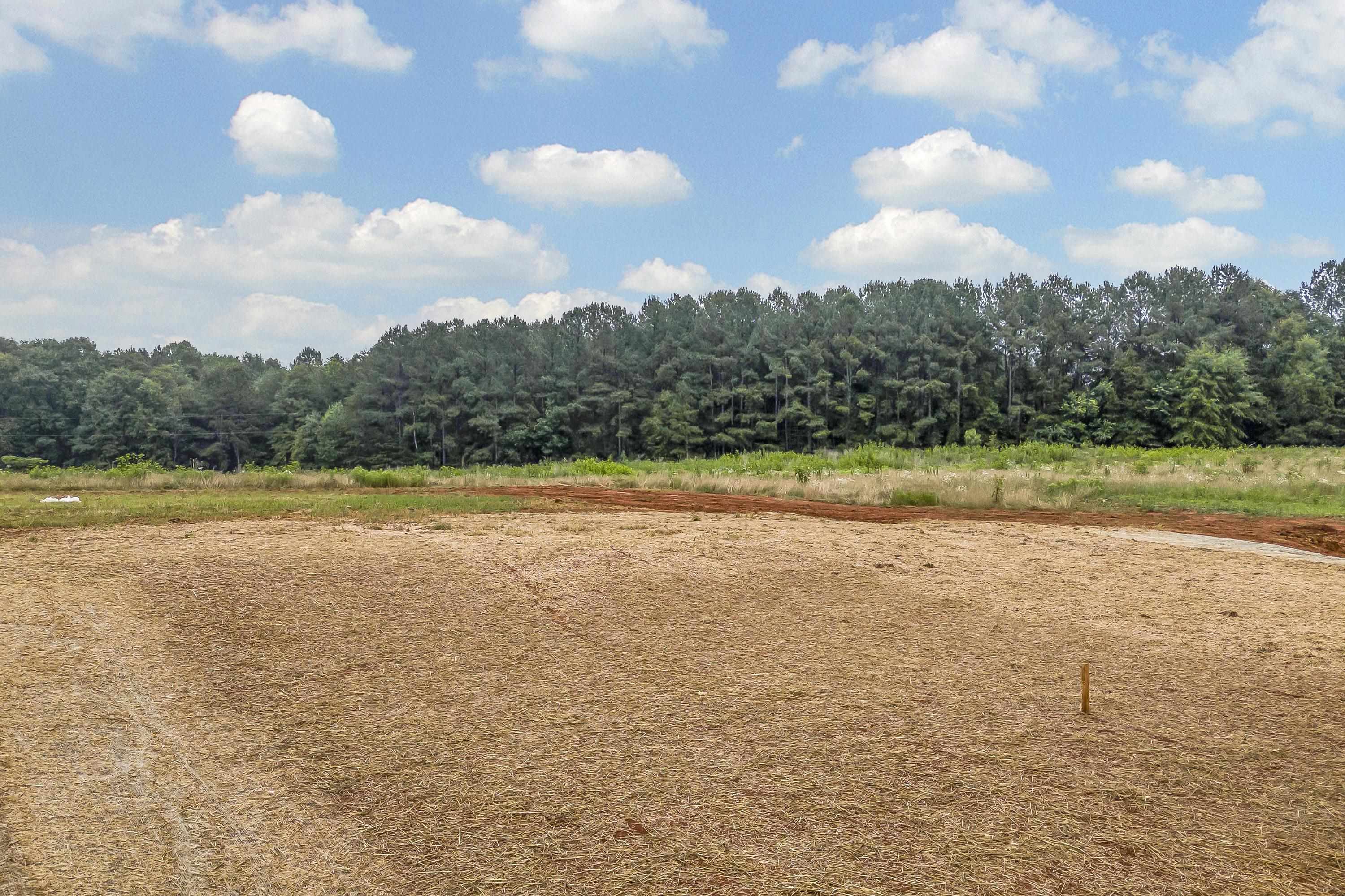 545 Bill Lattimore Road, Chesnee, South Carolina image 17