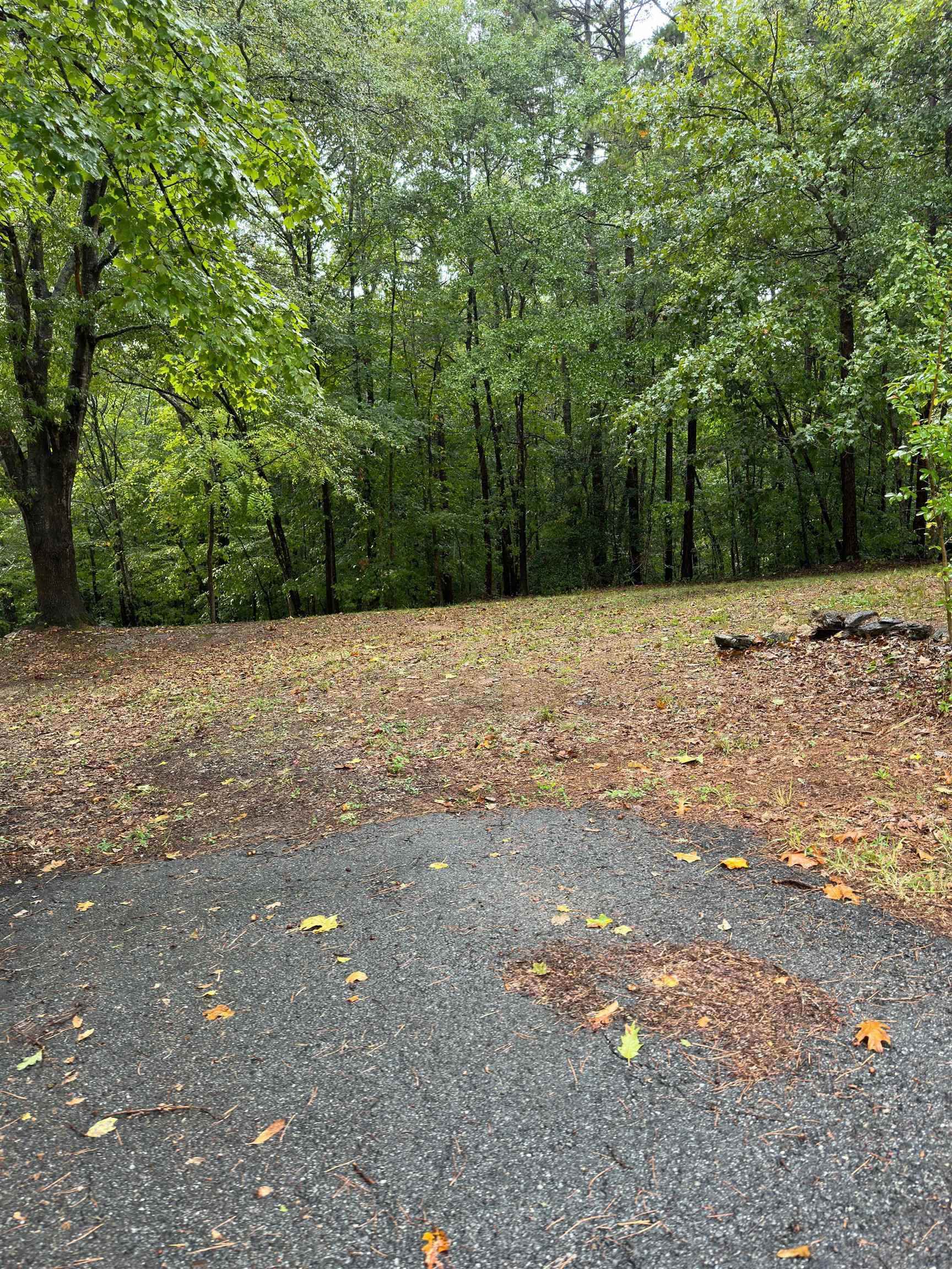 196 Seminole Trail, Cowpens, South Carolina image 5