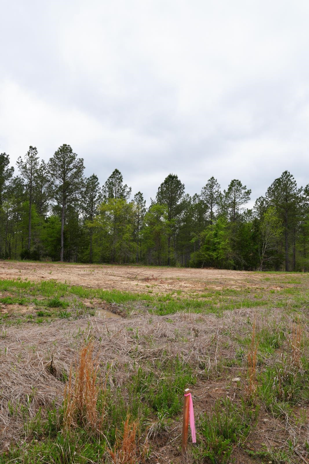 Lot 2 Fields Road, Pauline, New York image 8