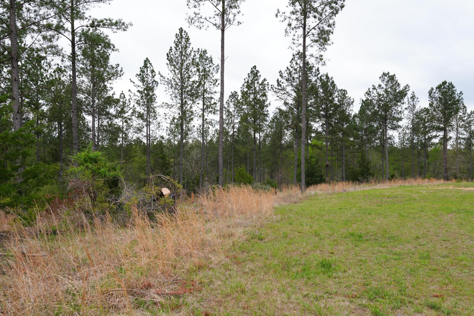 Lot 2 Fields Road, Pauline, New York image 6