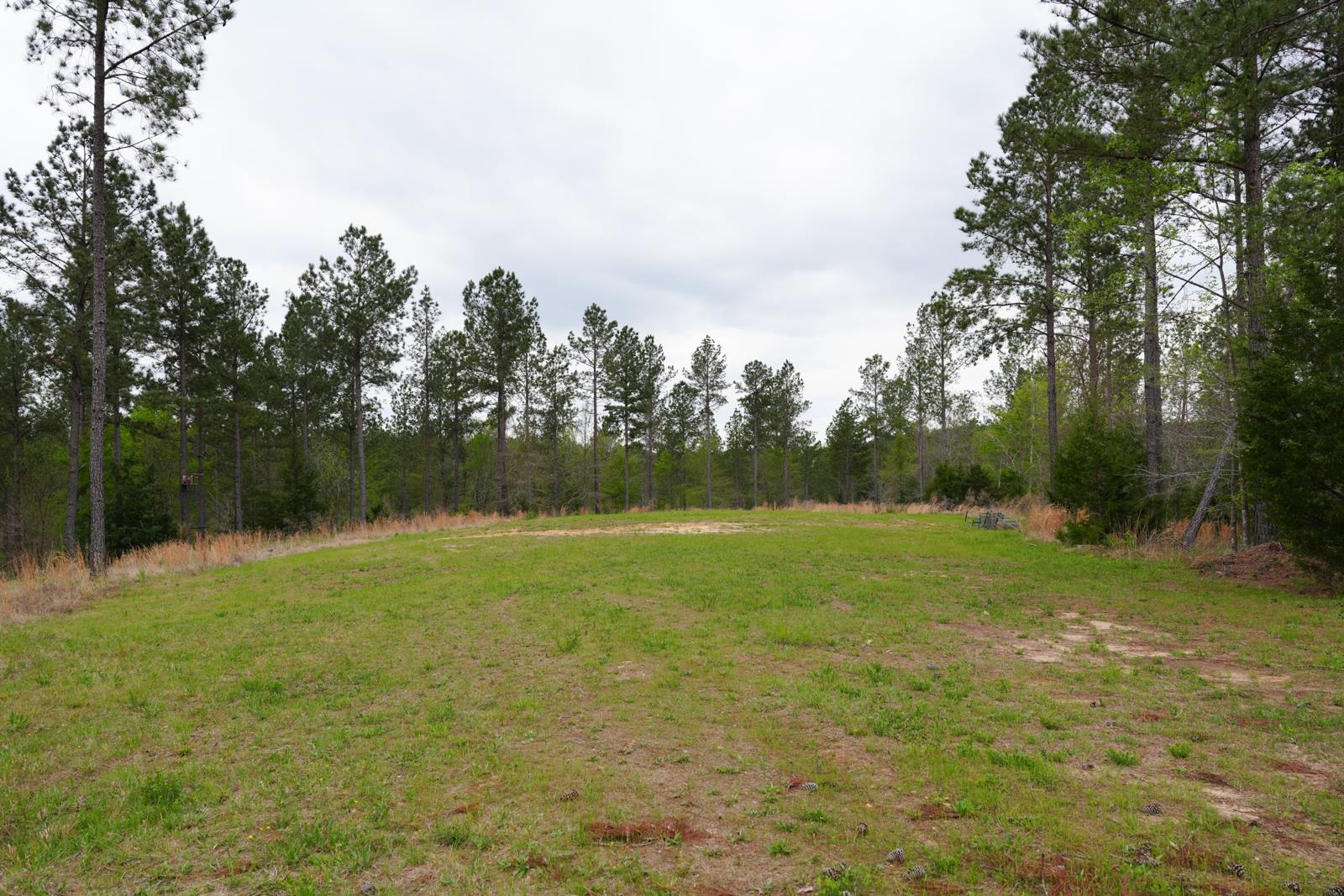 Lot 2 Fields Road, Pauline, New York image 7