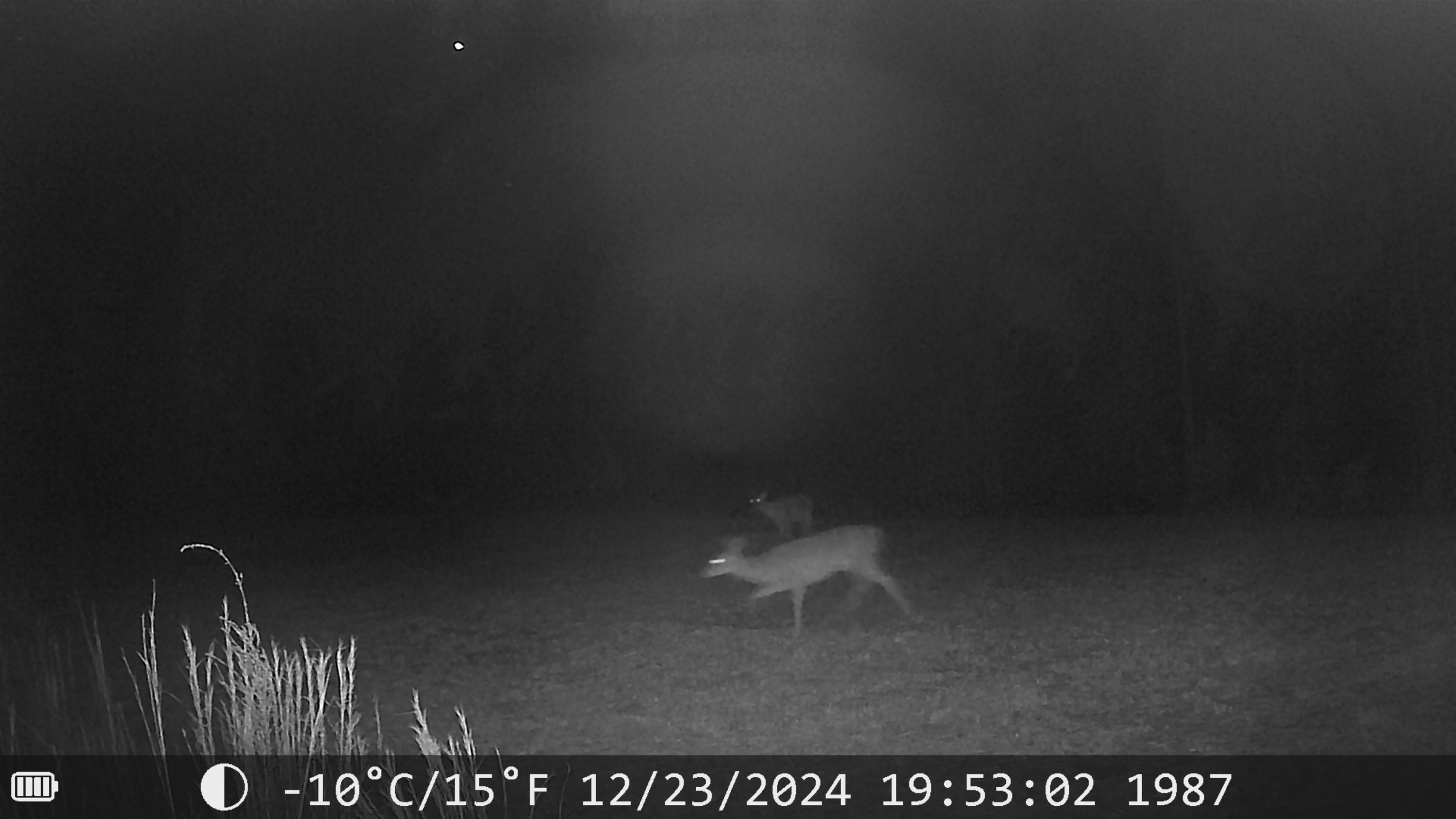 Lot 2 Fields Road, Pauline, New York image 11
