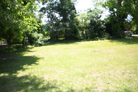 Vacant Land For Sale - 113 W Carolina Street<br/> Blacksburg, SC 29702