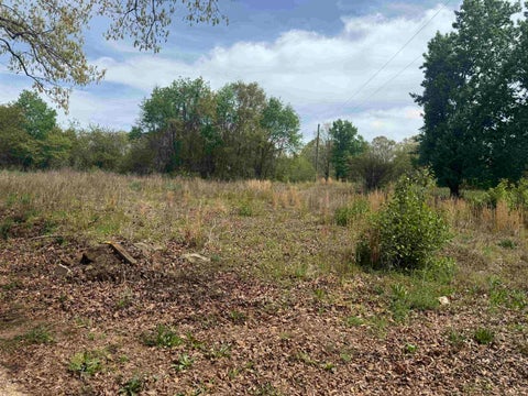 Vacant Land For Sale - 240 Overhead Bridge Road<br/> Chesnee, SC 29323