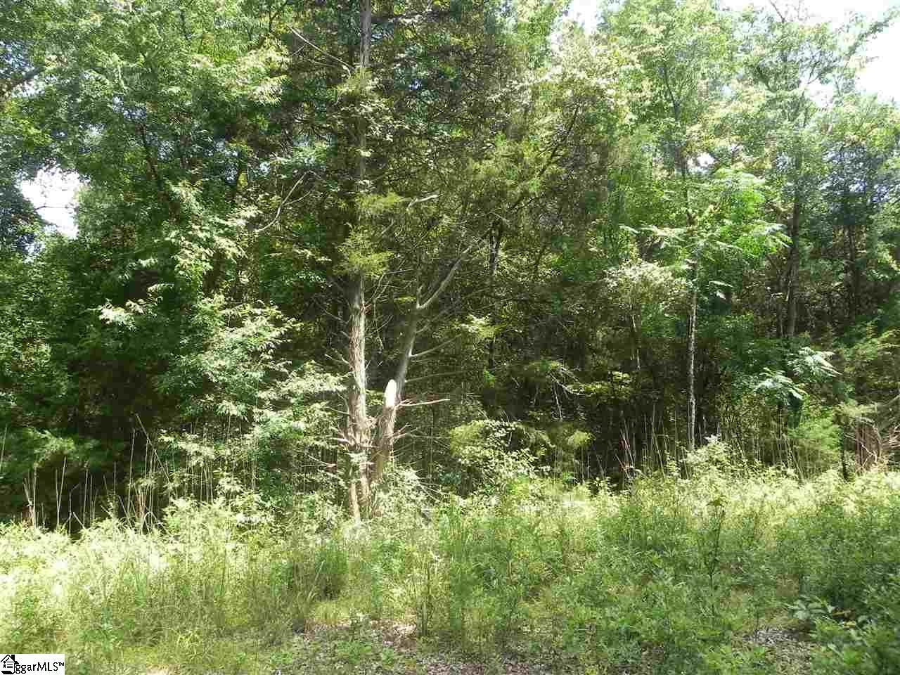 1611 Price House Road, Roebuck, South Carolina image 17