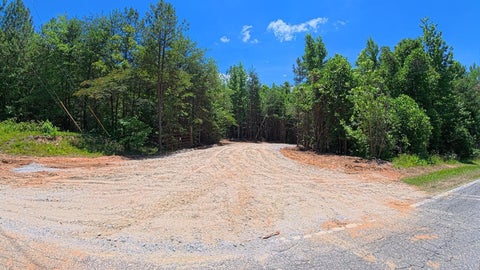 Vacant Land For Sale - 2109 TRACT D Riddle Road<br/> Spartanburg County, Pauline, SC 29374
