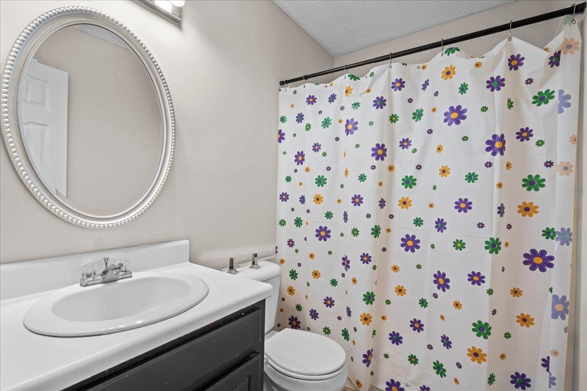 544 Holly Run Court, Spartanburg, South Carolina image 28