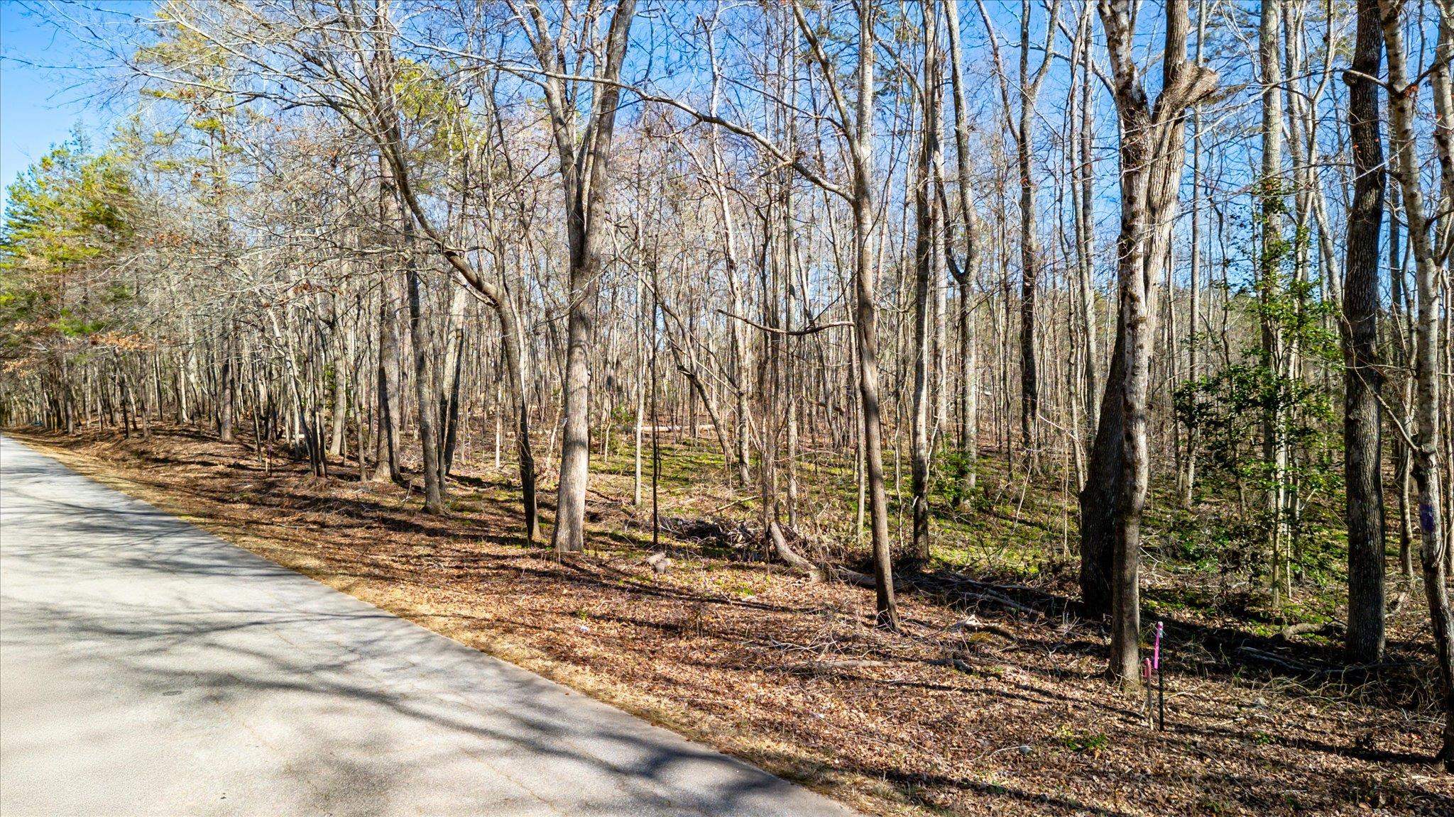 Lot 5 Broken Arrow Drive, Pelzer, South Carolina image 4