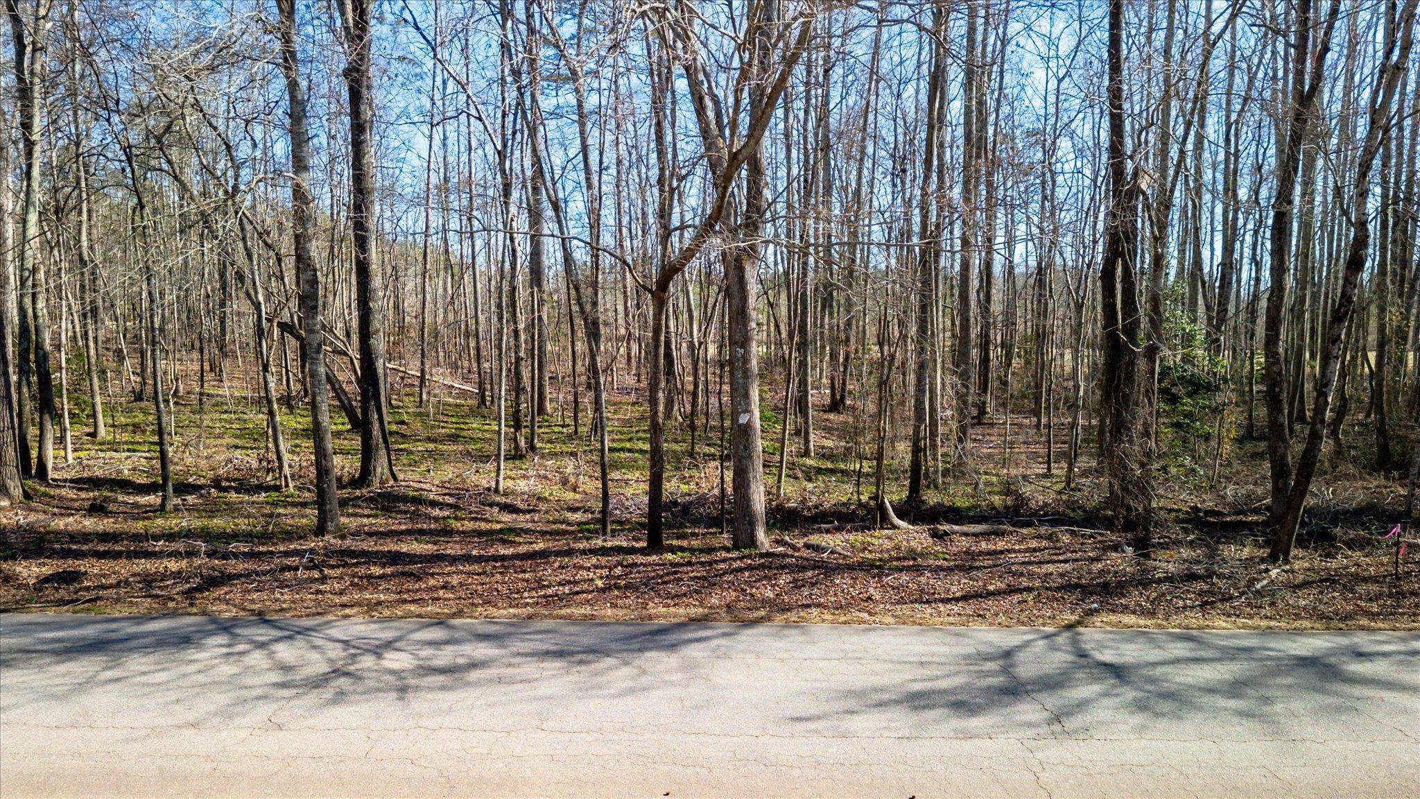 Lot 5 Broken Arrow Drive, Pelzer, South Carolina image 5