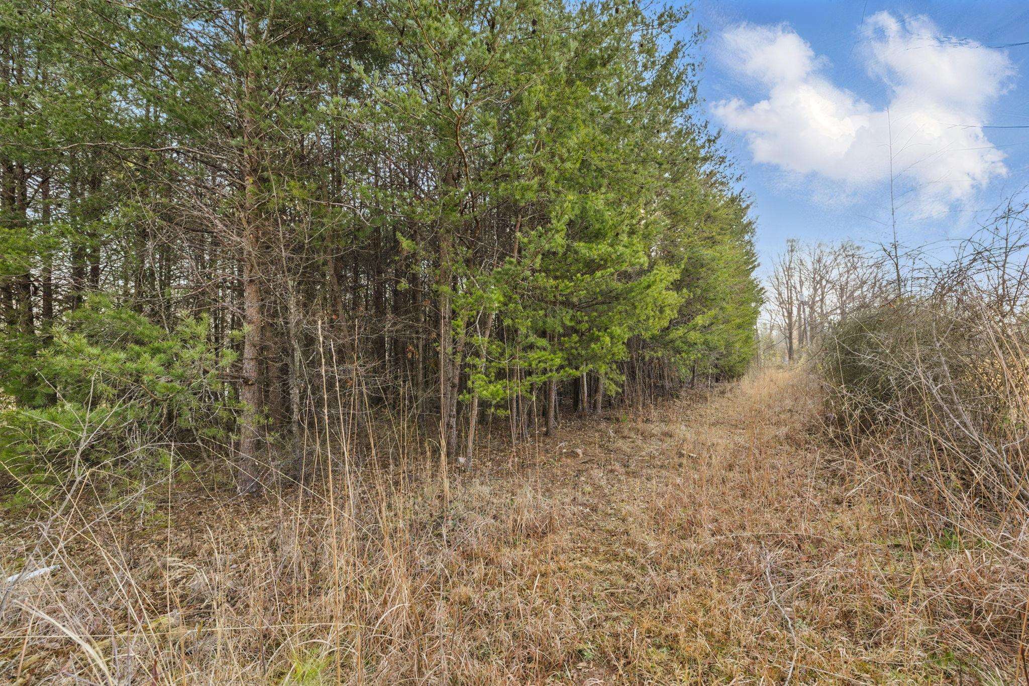 Fraley Drive, Inman, South Carolina image 15