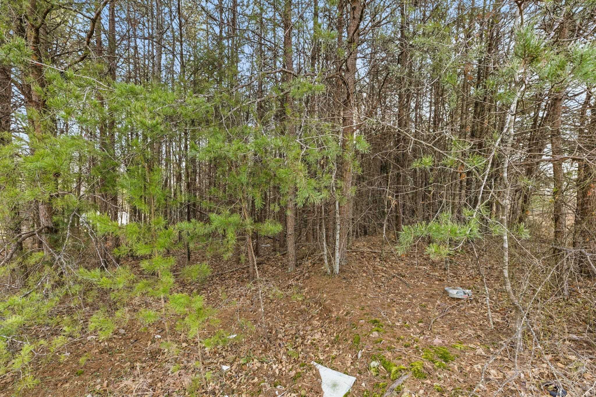 Fraley Drive, Inman, South Carolina image 14