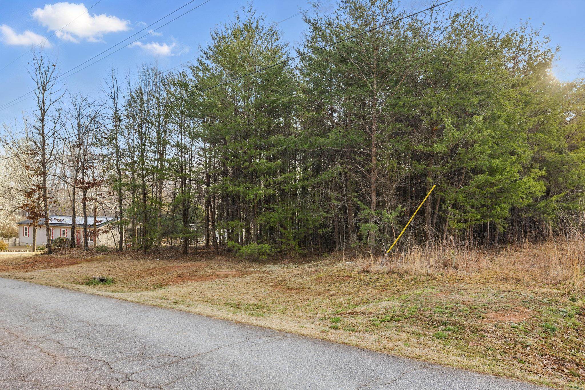 Fraley Drive, Inman, South Carolina image 11