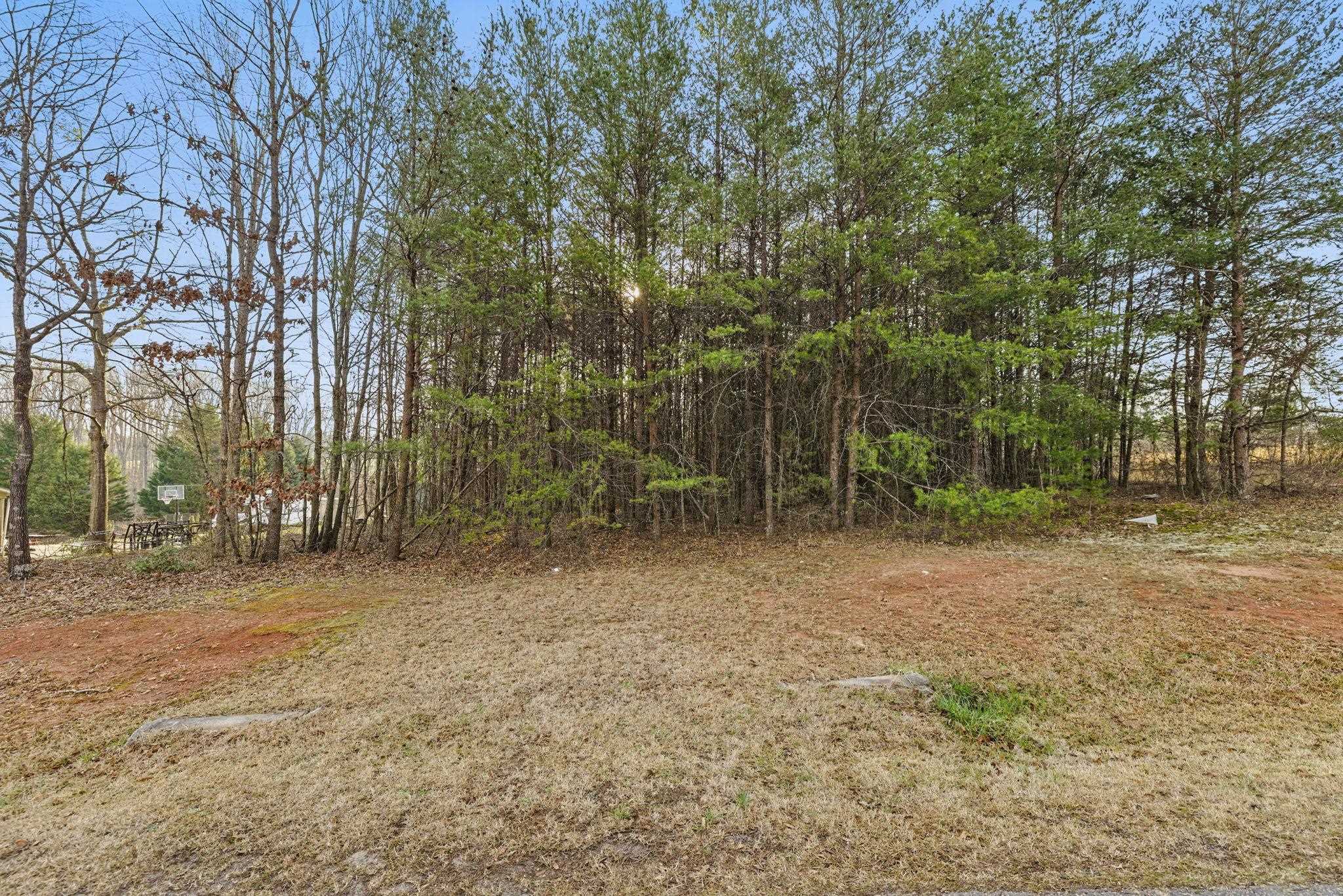 Fraley Drive, Inman, South Carolina image 12