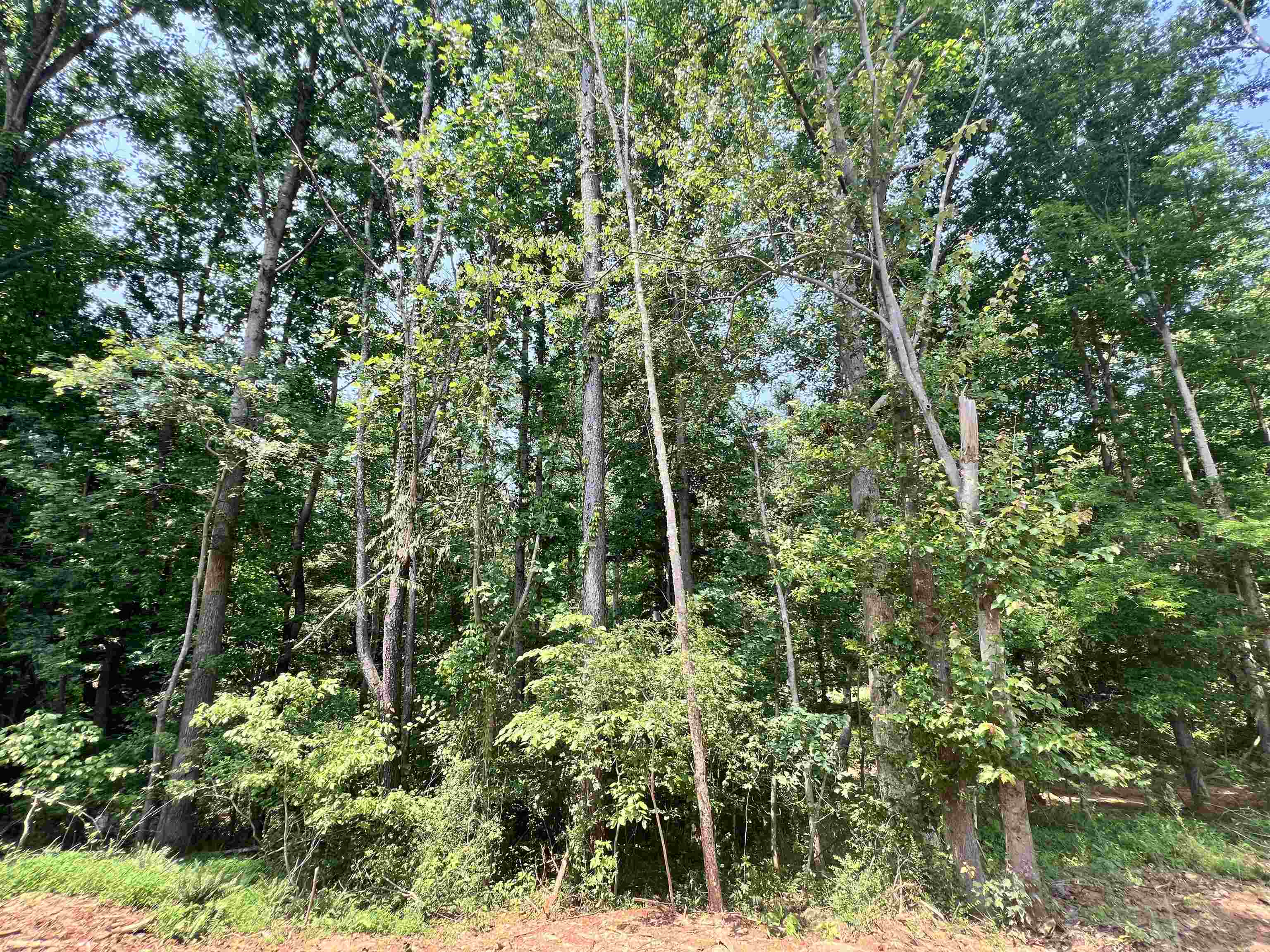 406 Bellingham Court, Spartanburg, South Carolina image 23