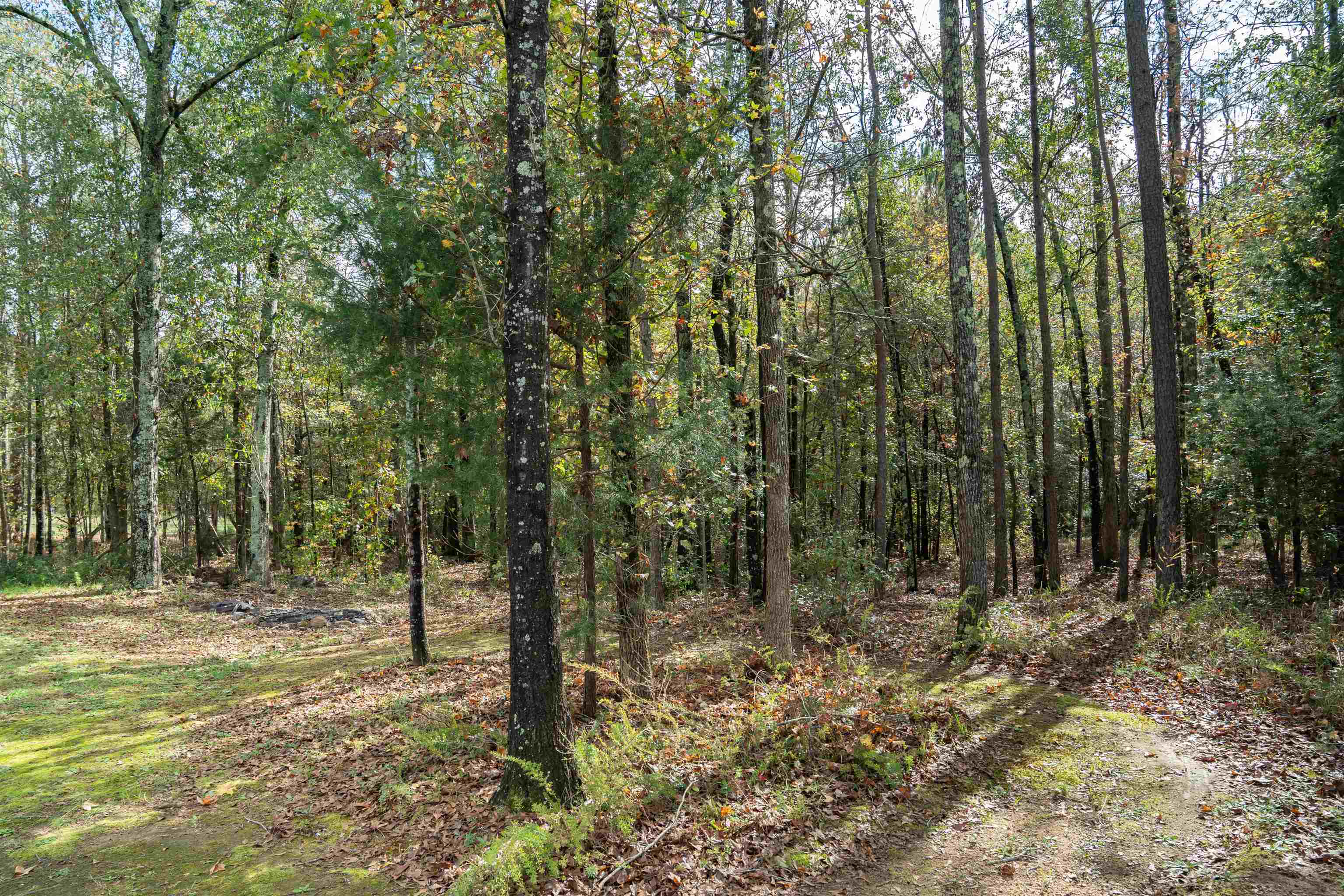 222 Plantation Grove Drive, Roebuck, South Carolina image 40