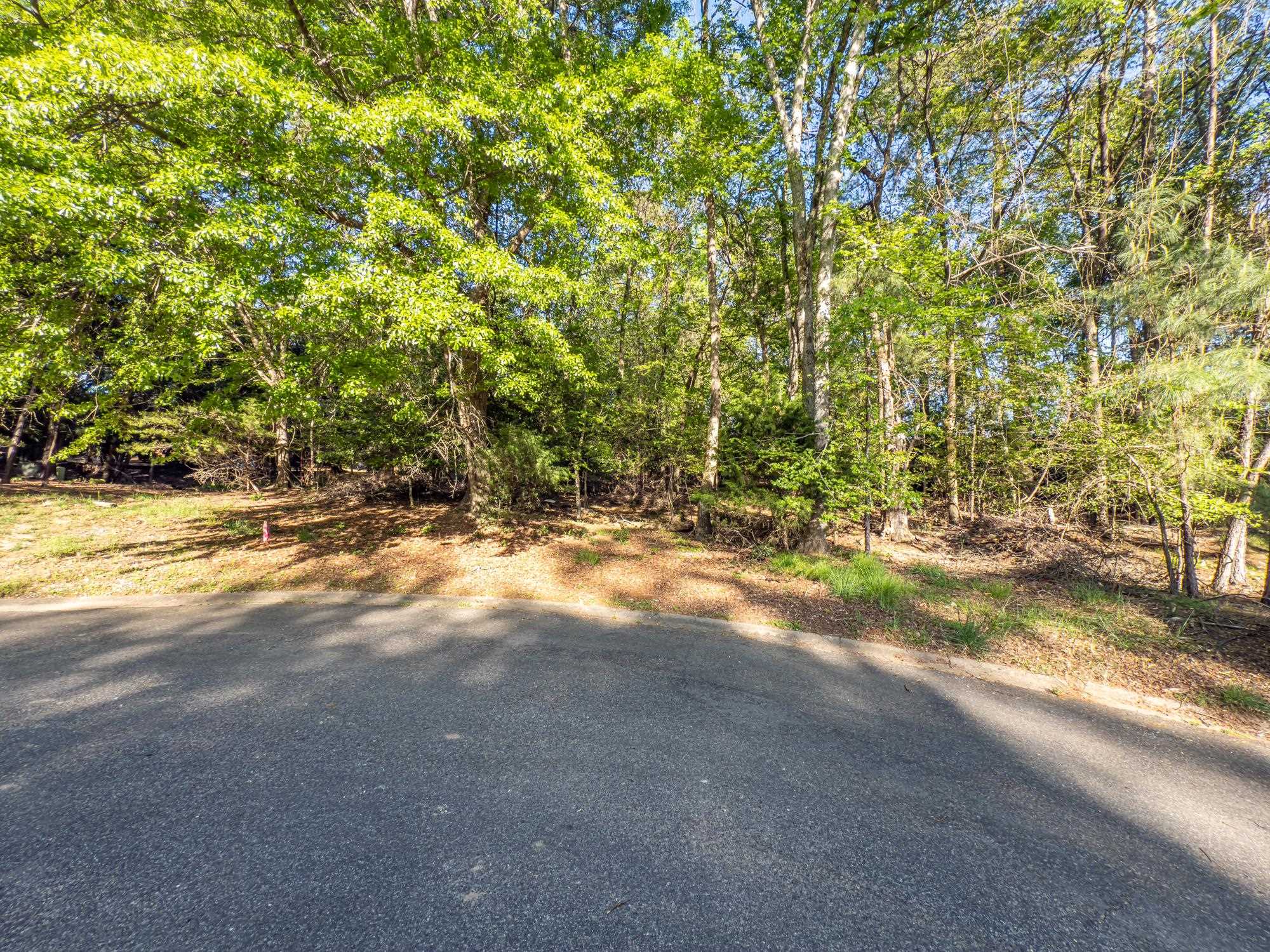 160 Turnberry Drive, Spartanburg, South Carolina image 8