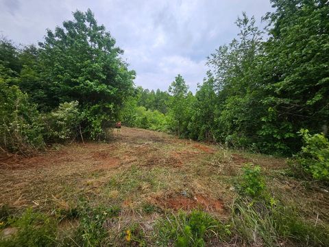 Vacant Land For Sale - 418 N Walcher Farm Drive<br/> Inman, SC 29349