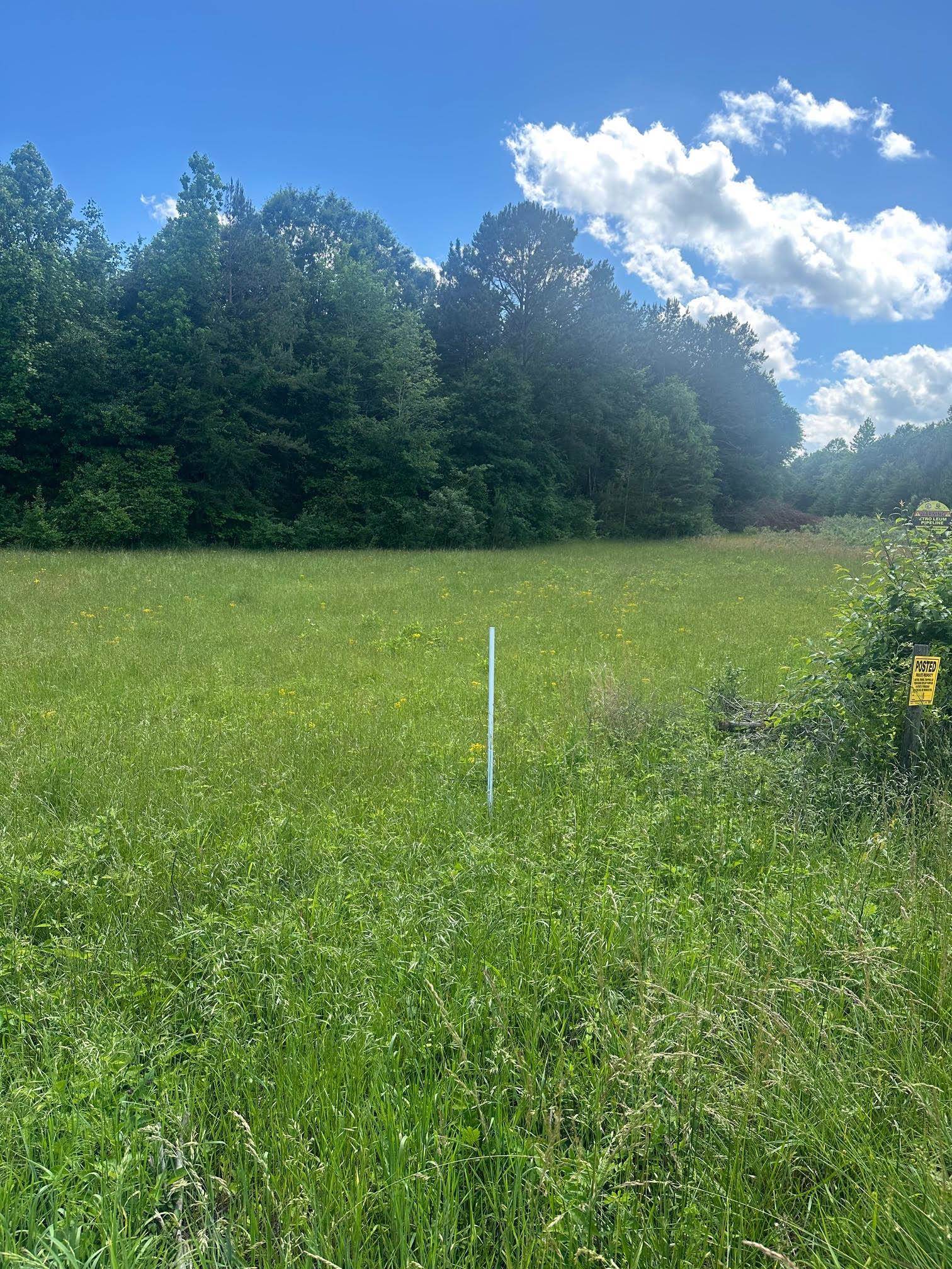 301 Sweet Gum Road, spartanburg, South Carolina image 2
