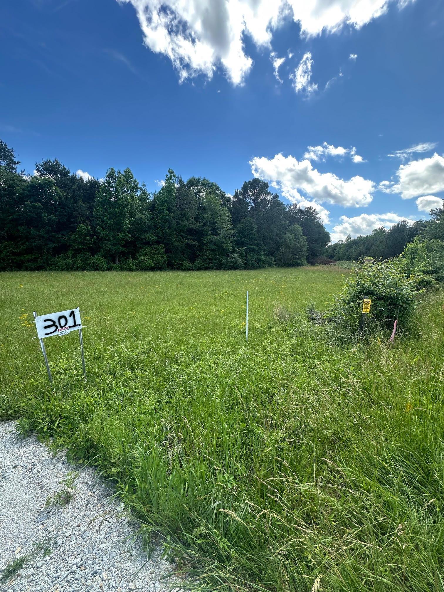 301 Sweet Gum Road, spartanburg, South Carolina image 1