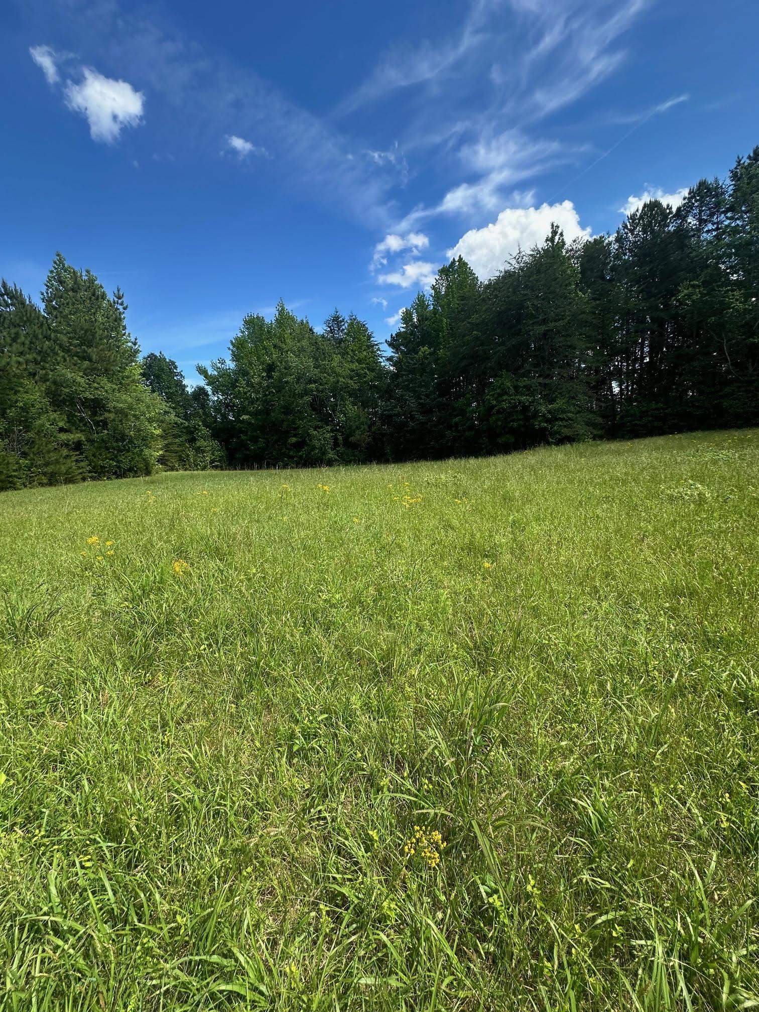 301 Sweet Gum Road, spartanburg, South Carolina image 6