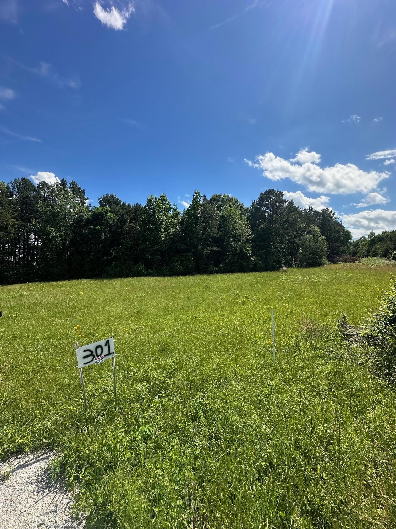 301 Sweet Gum Road, spartanburg, South Carolina image 12