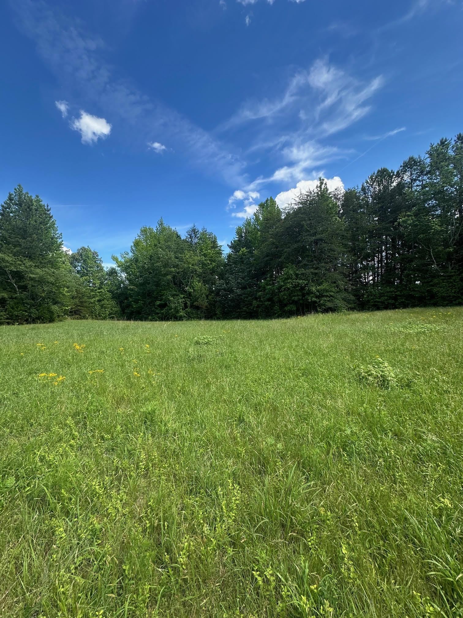 301 Sweet Gum Road, spartanburg, South Carolina image 3