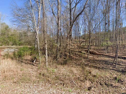 Vacant Land For Sale - 180 Whitlock Lake Road<br/> Union County, Jonesville, SC 29353