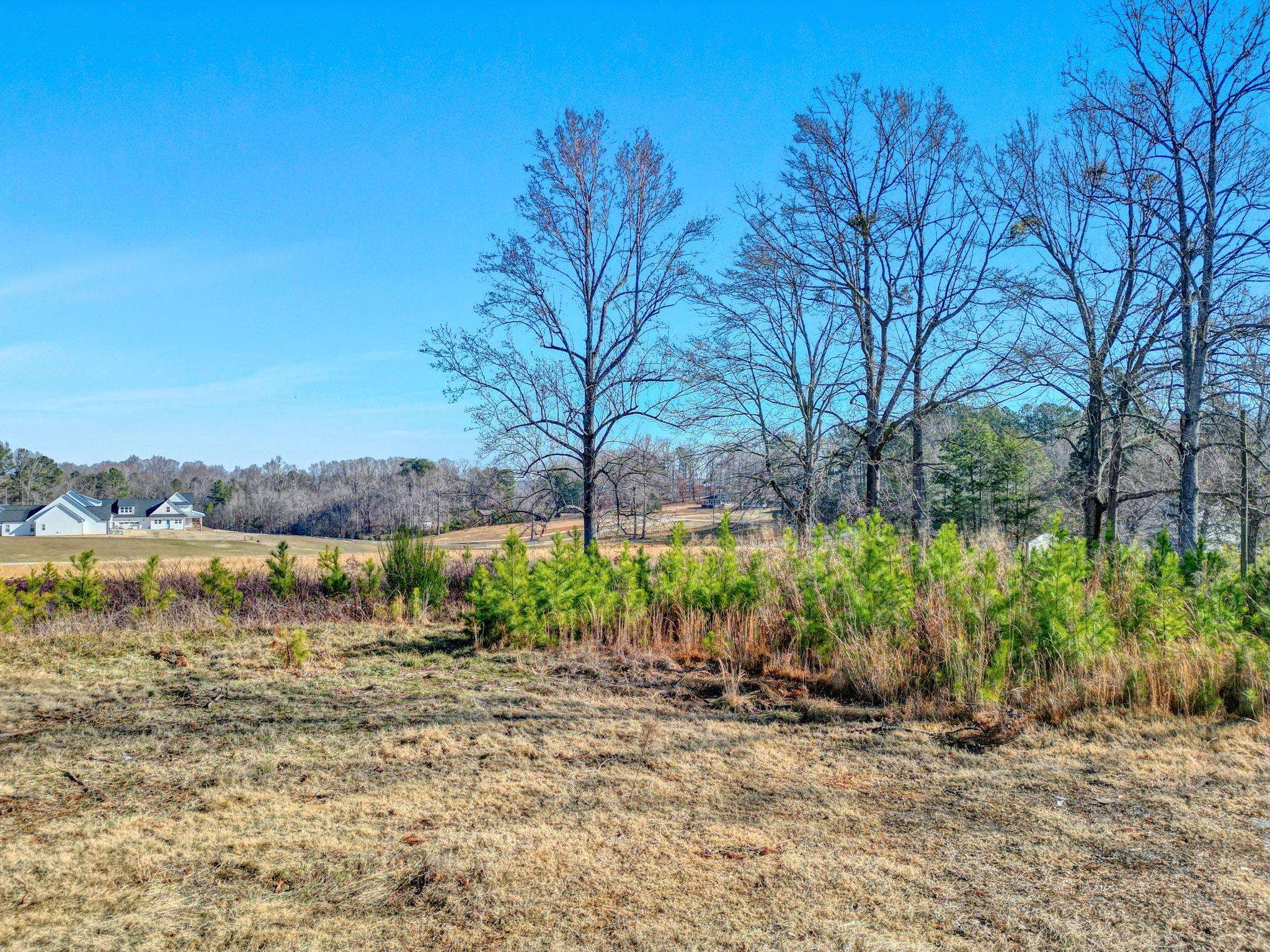 740 Canaan Road, Spartanburg, South Carolina image 6