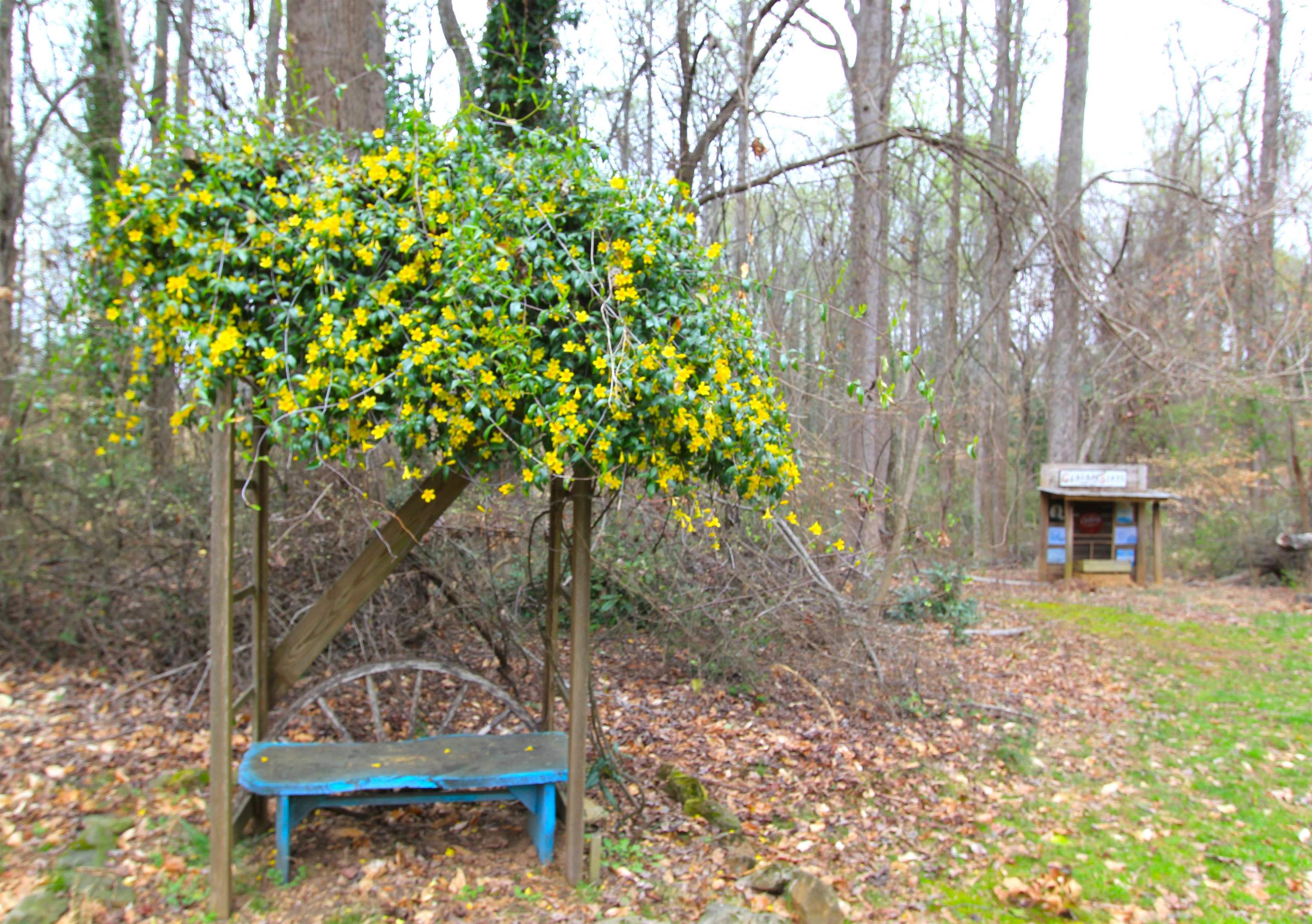 Lots On Meadowbrook Acreage Ave, Woodruff, South Carolina image 41