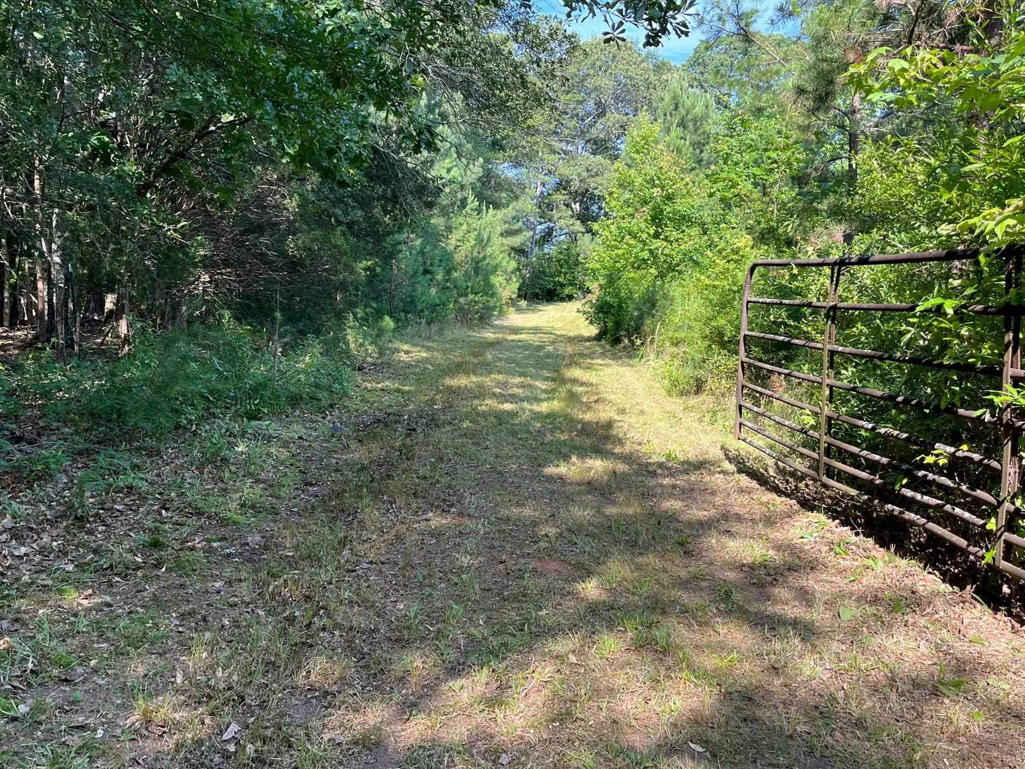 200 Chumley Road, Woodruff, South Carolina image 2