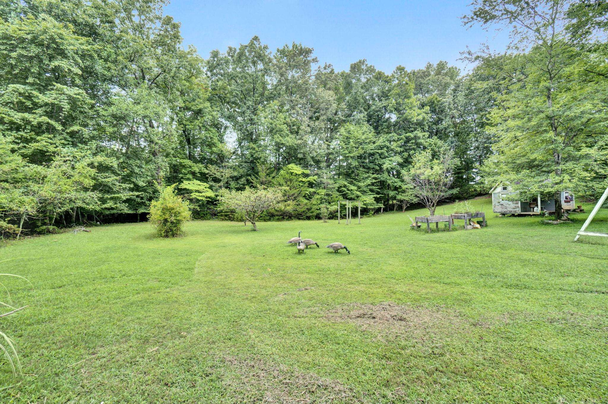 21 Martin Drive, Greenville, South Carolina image 36