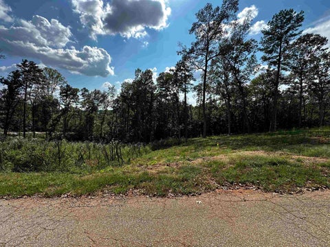 Vacant Land For Sale - 41 Briarcliff Road<br/> Duncan, SC 29334