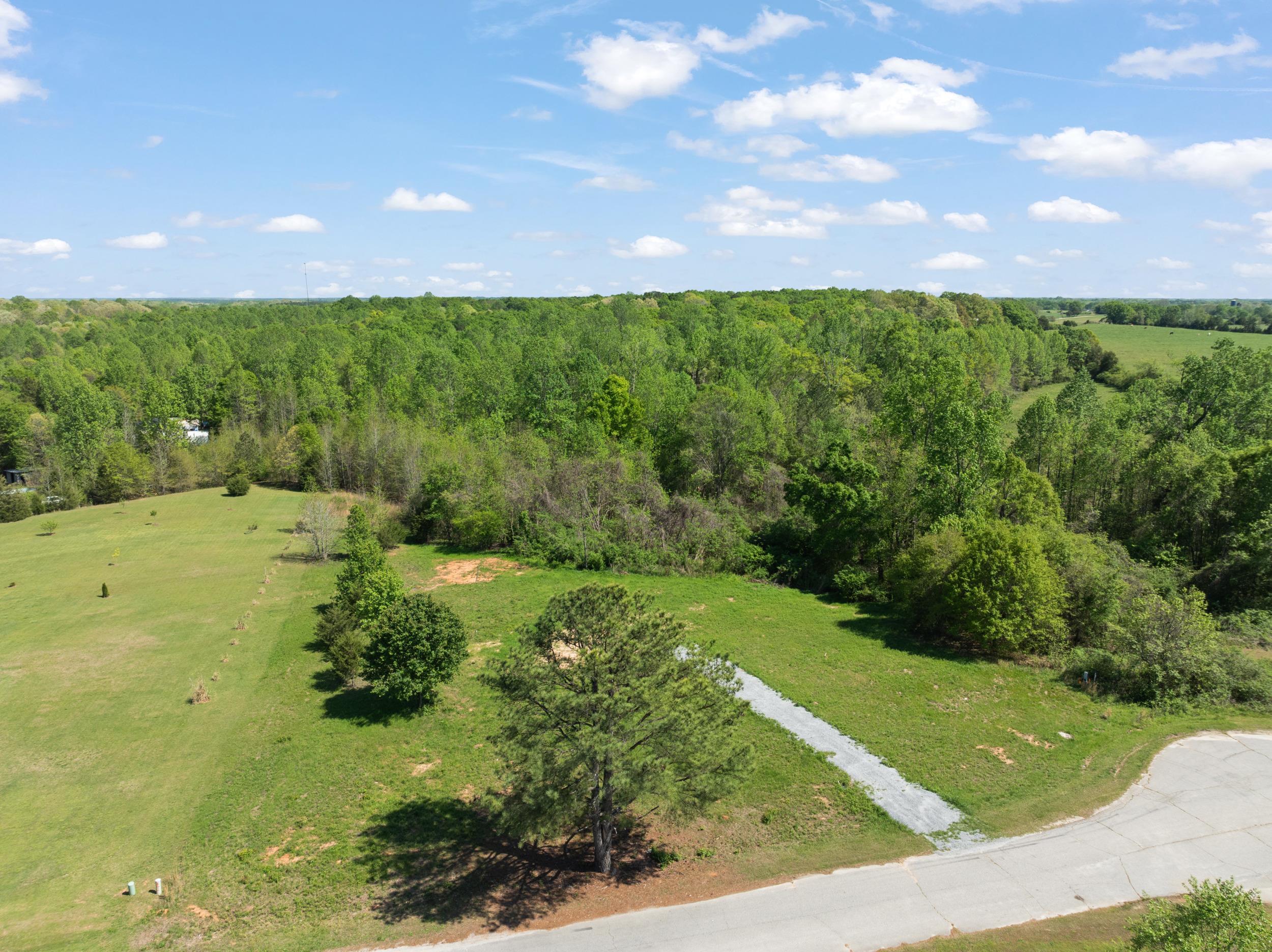 95 Topaz Drive, Gray Court, South Carolina image 12