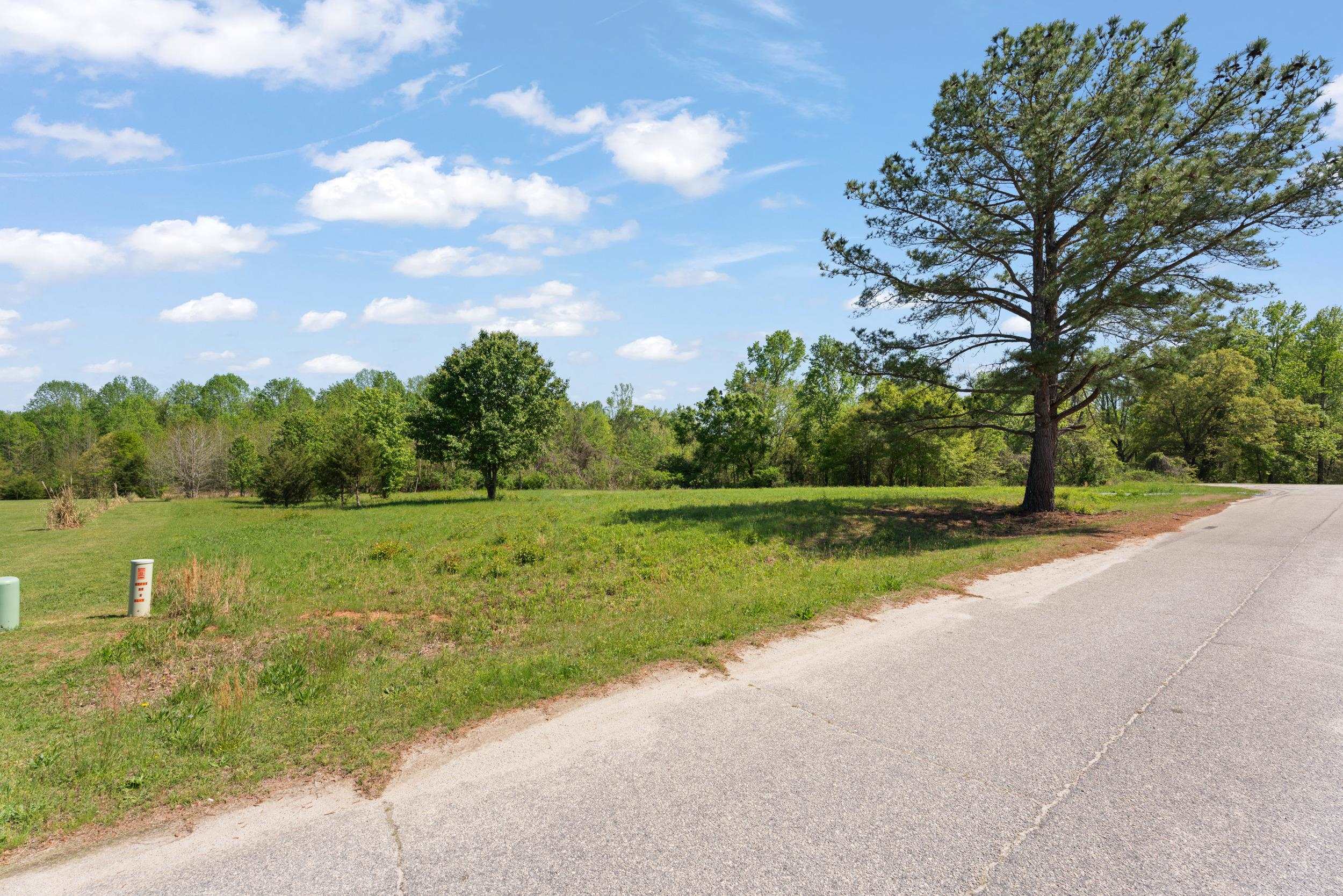 95 Topaz Drive, Gray Court, South Carolina image 13