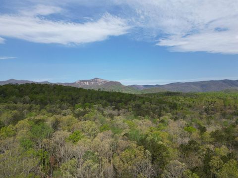 Vacant Land For Sale - Pumpkintown Hwy 8 Tract A Highway<br/> Pickens, SC 29671