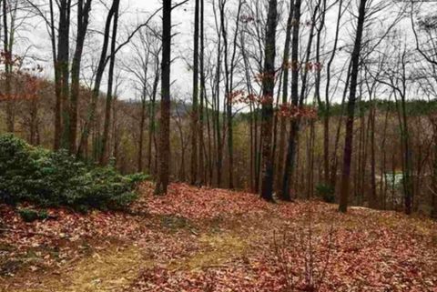 Vacant Land For Sale - 20 Windswept Lane<br/> Travelers Rest, SC 29690