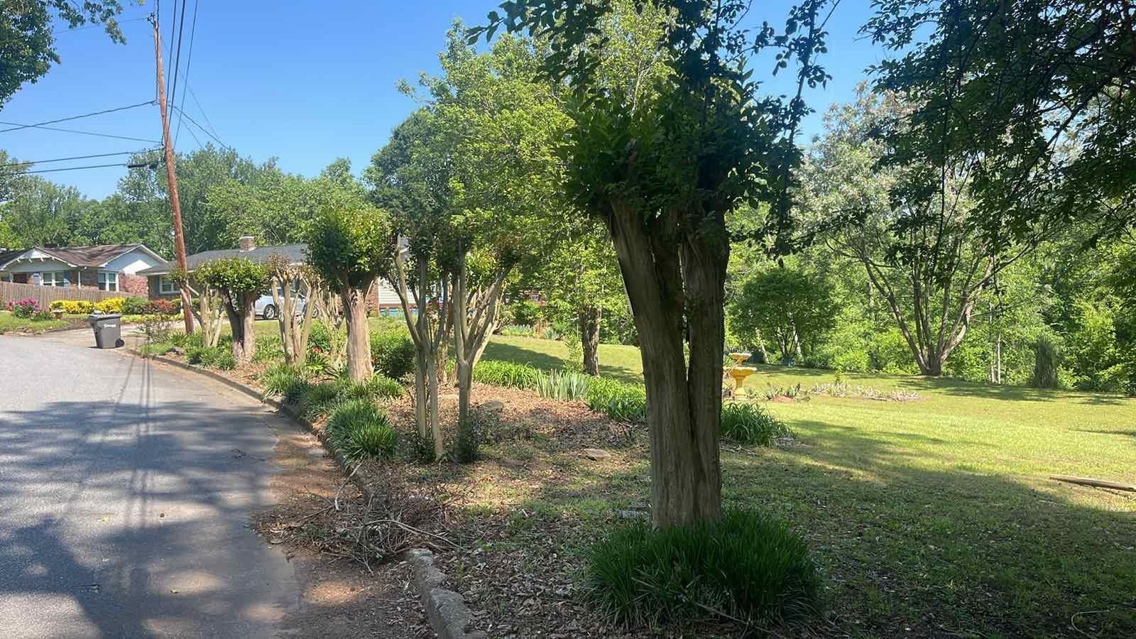 Amherst Drive, Spartanburg, South Carolina image 2