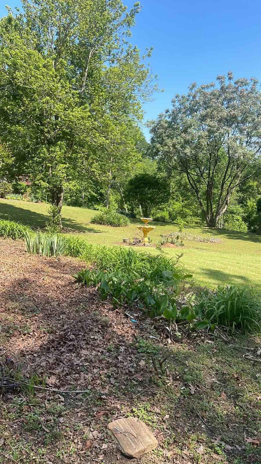 Amherst Drive, Spartanburg, South Carolina image 9