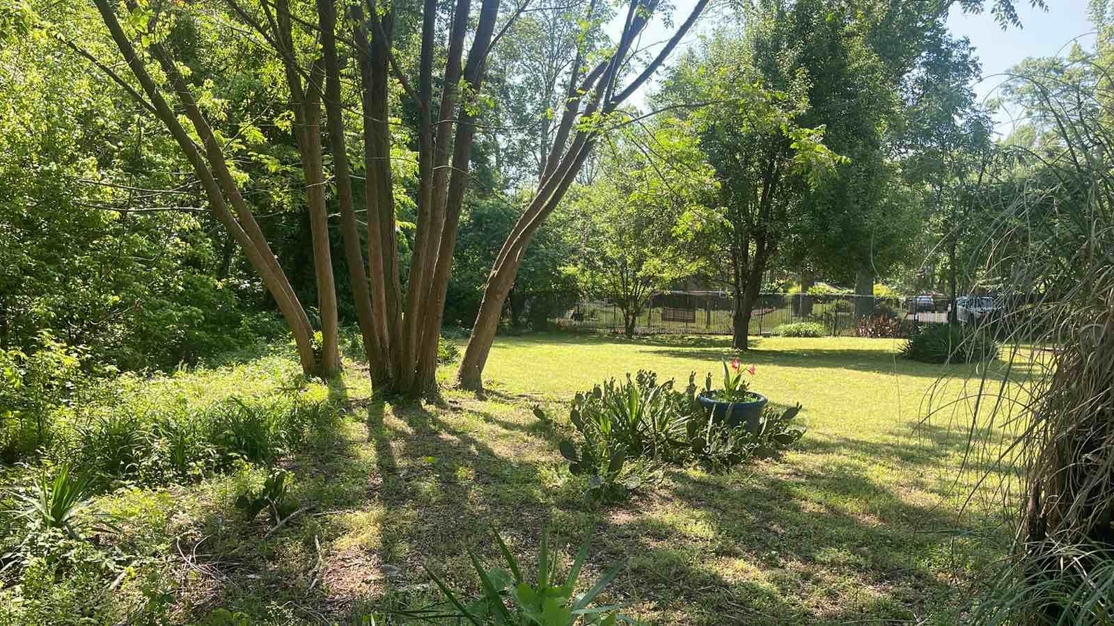 Amherst Drive, Spartanburg, South Carolina image 7