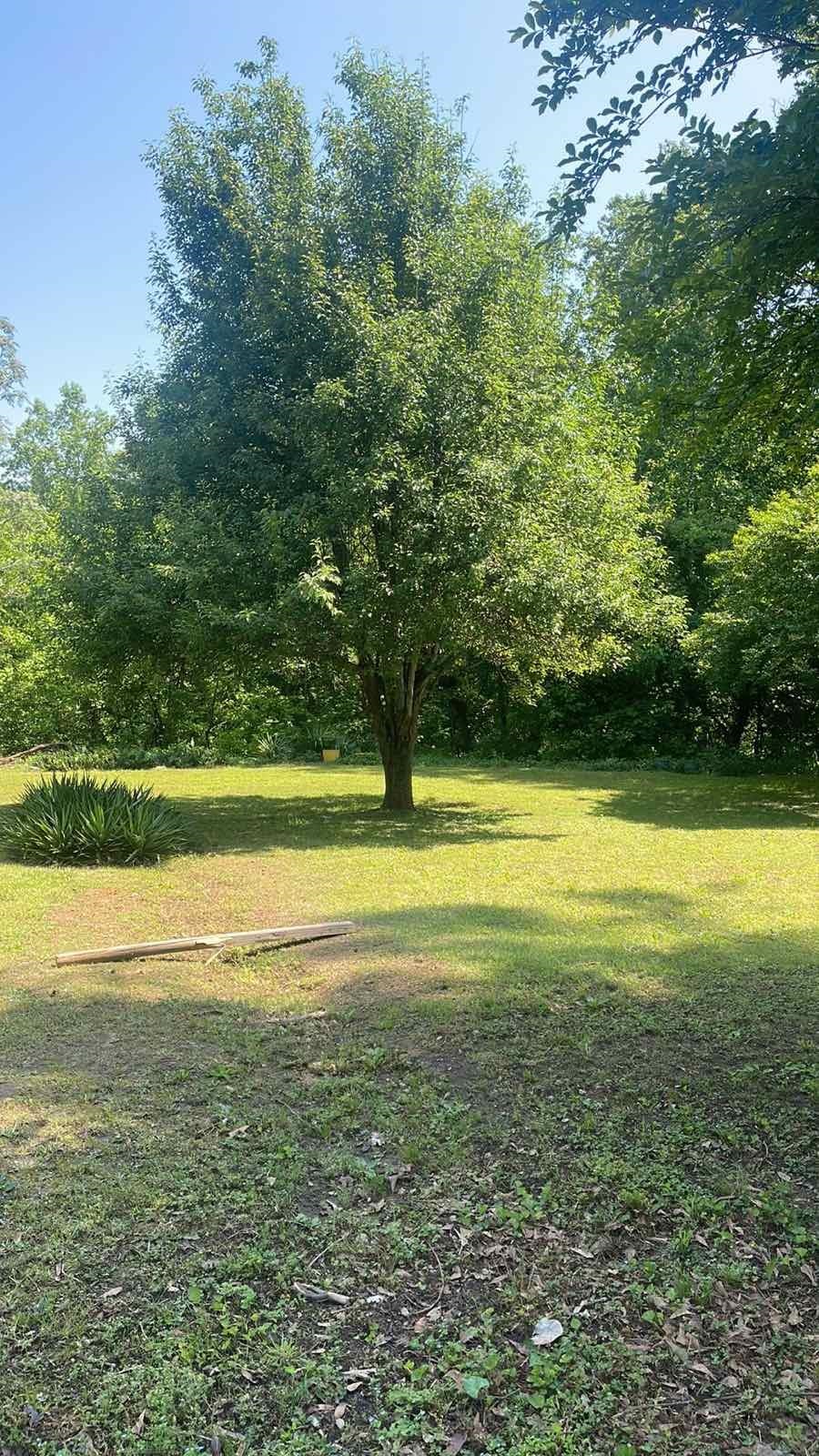 Amherst Drive, Spartanburg, South Carolina image 8